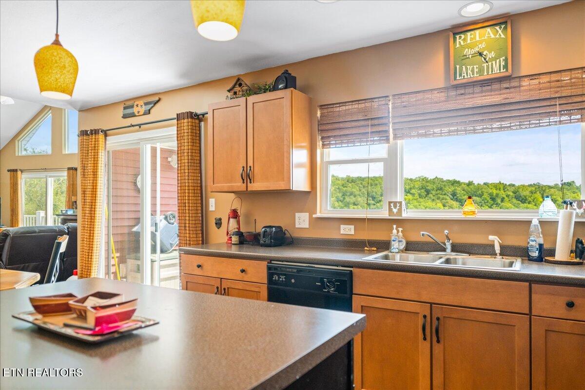 309 Alder Shore Lane Lafollette TN 37766