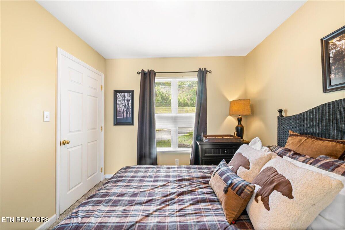 309 Alder Shore Lane Lafollette TN 37766