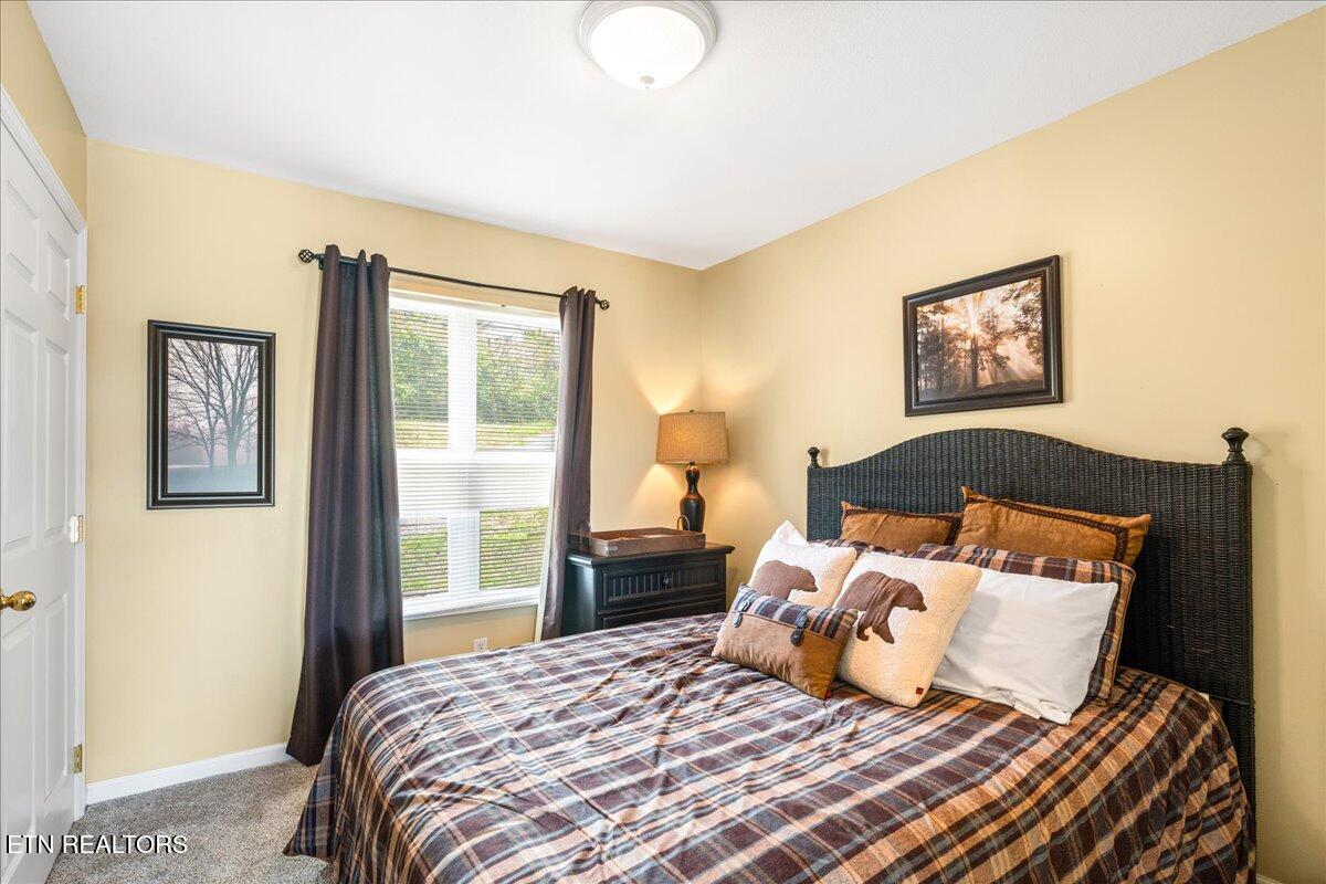 309 Alder Shore Lane Lafollette TN 37766