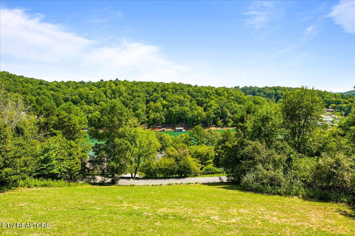 309 Alder Shore Lane Lafollette TN 37766