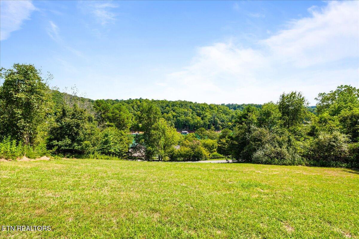 309 Alder Shore Lane Lafollette TN 37766