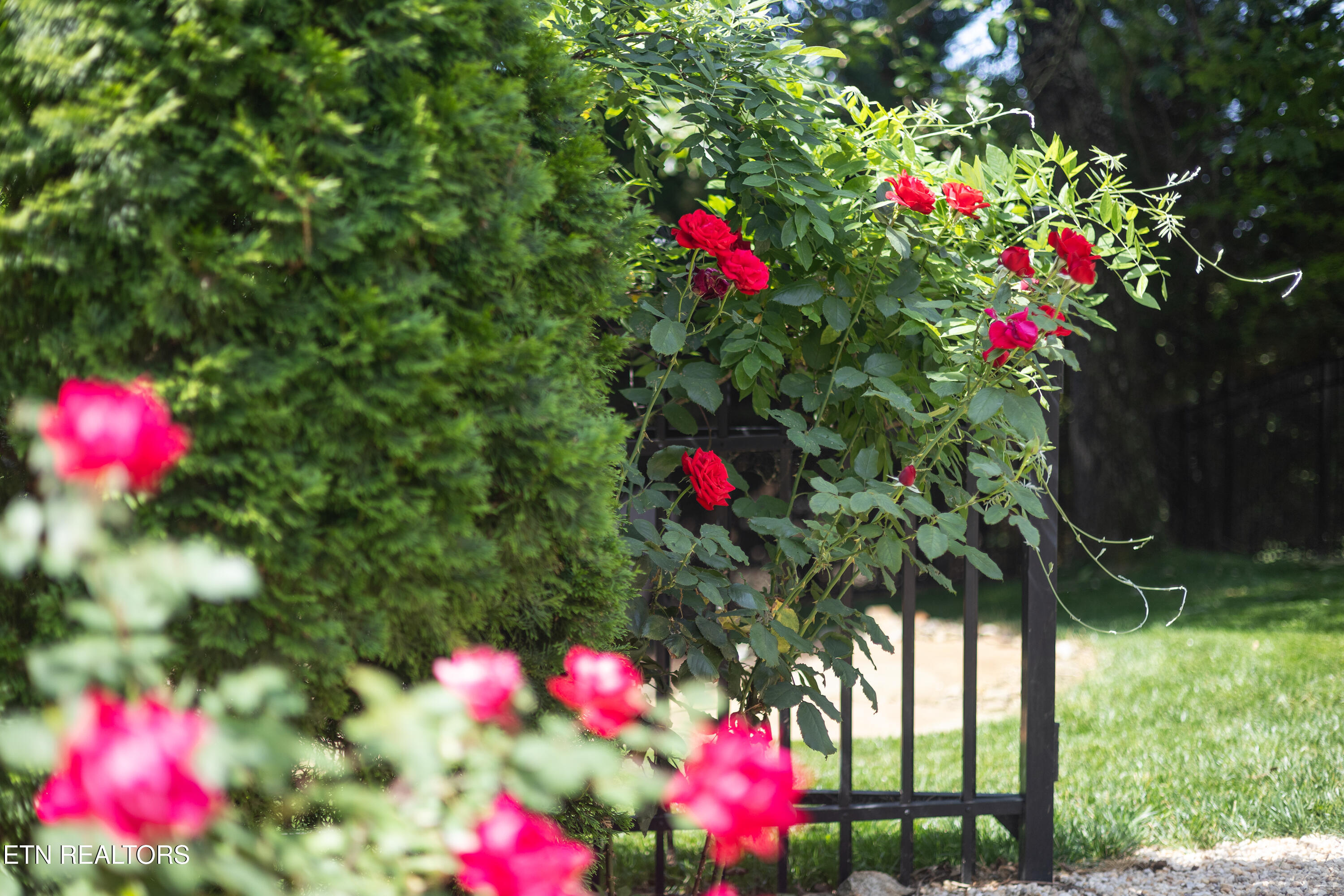 109 Red Grouse Drive Lenoir City TN 37772
