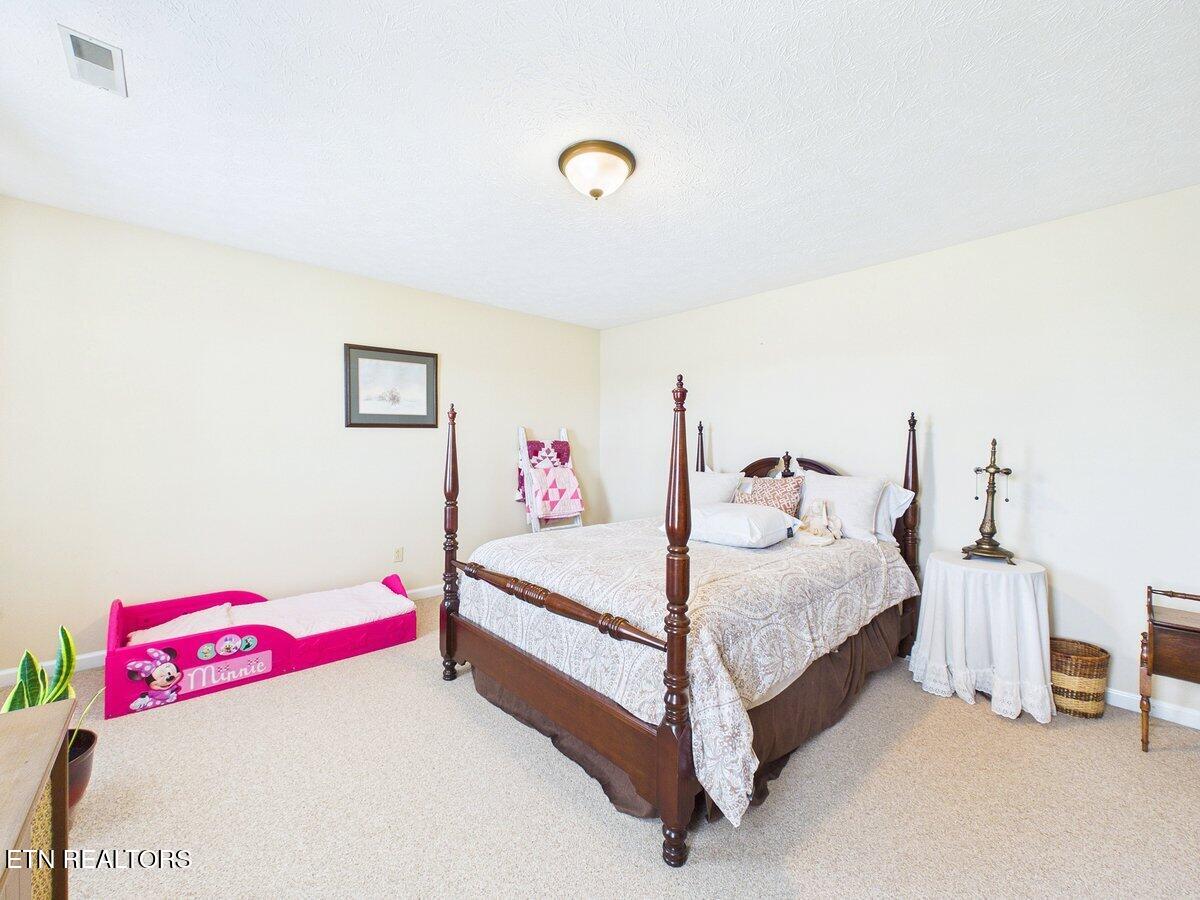 128 County Road 101 Riceville TN 37370