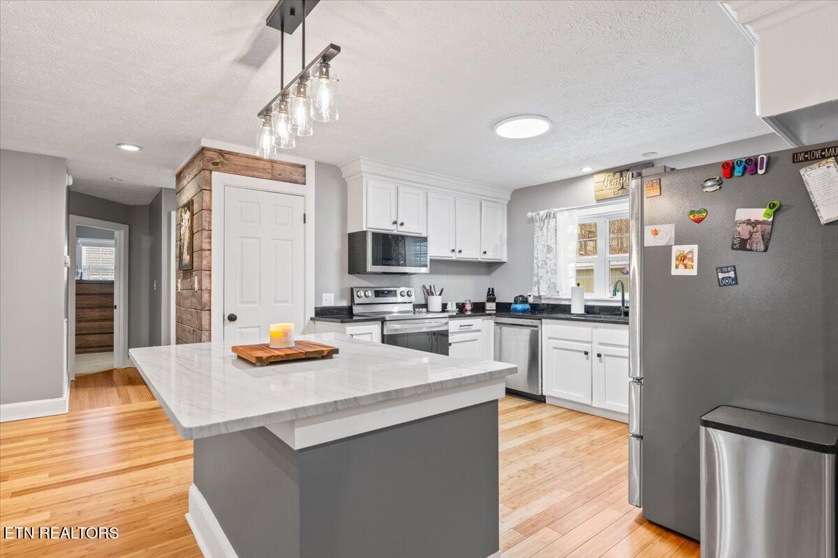 125 Denise Drive Speedwell TN 37870