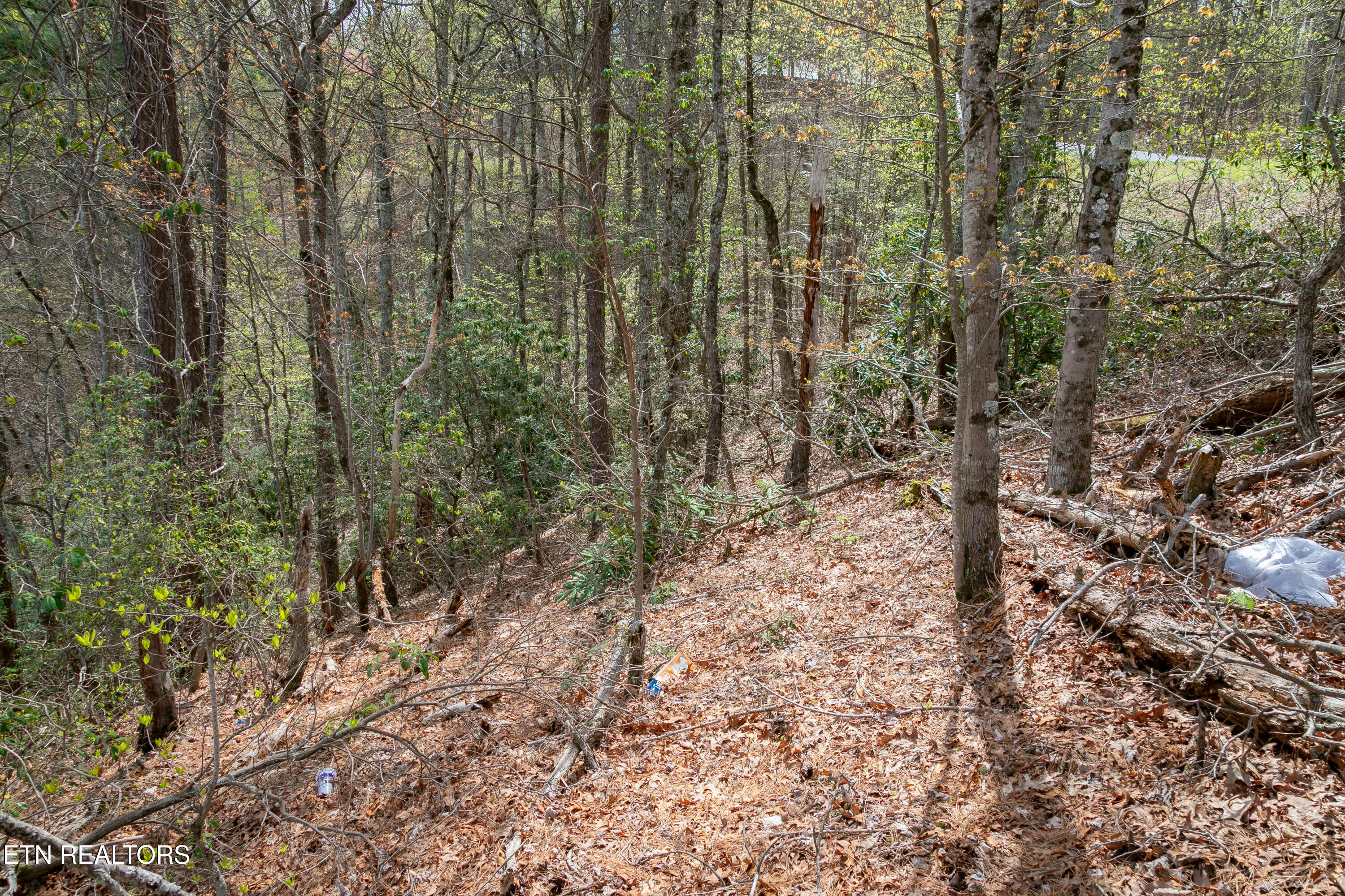 3059 Perry Circle Lane Sevierville TN 37862