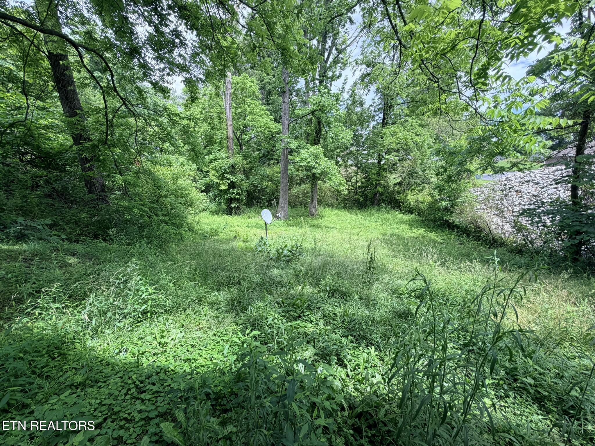 18700 Alberta Street Oneida TN 37841