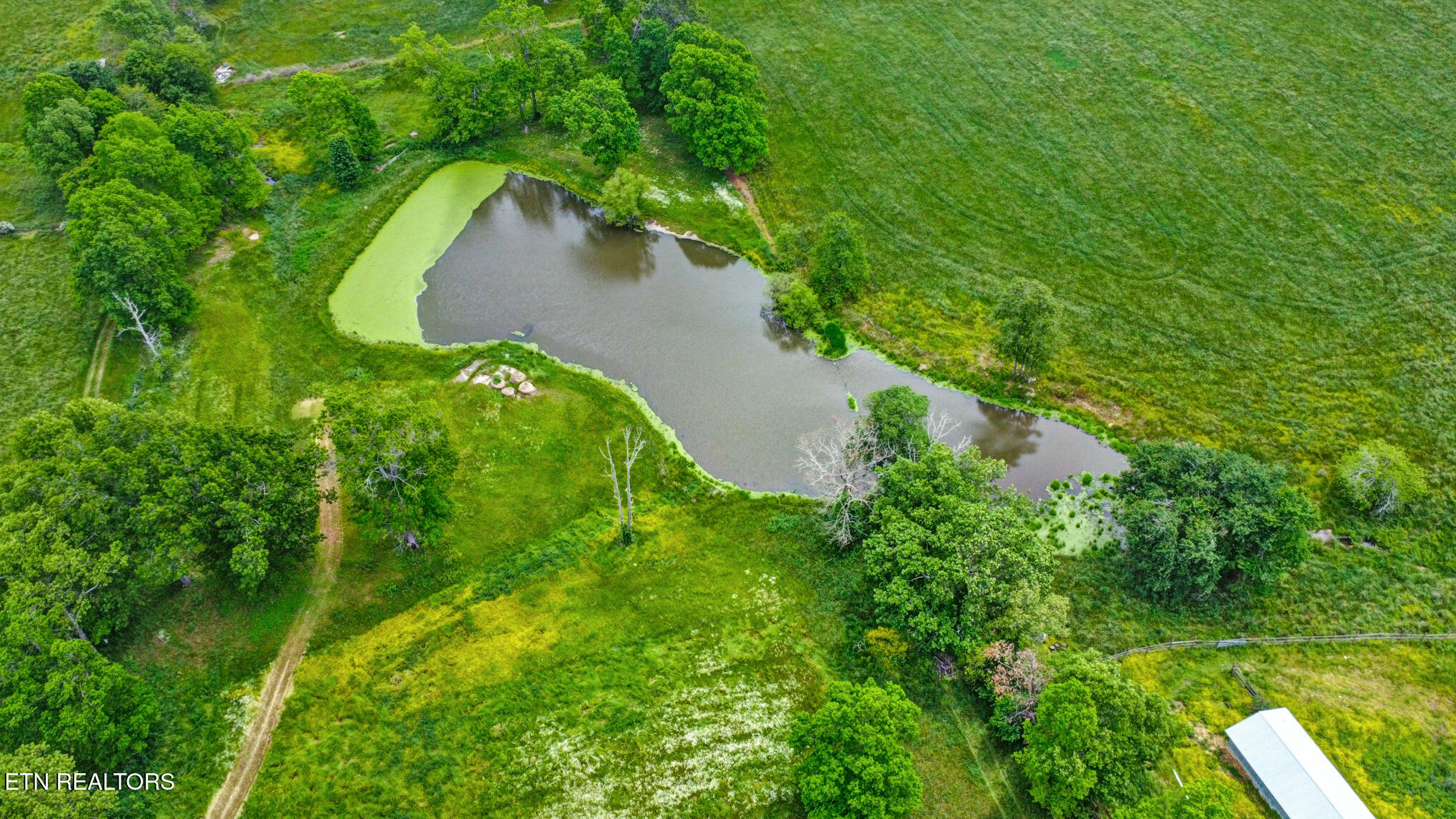 60 Greenview Lane Crossville TN 38571