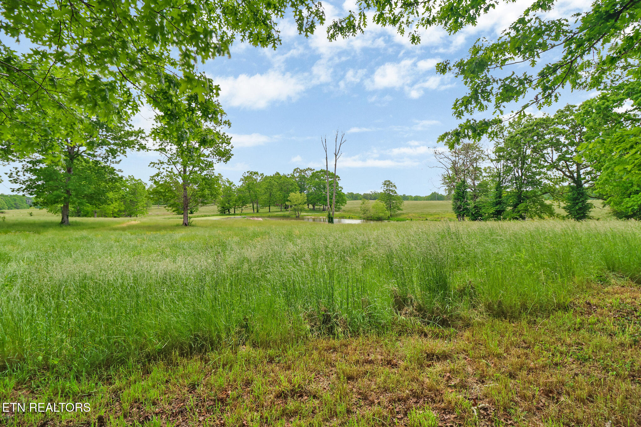 60 Greenview Lane Crossville TN 38571