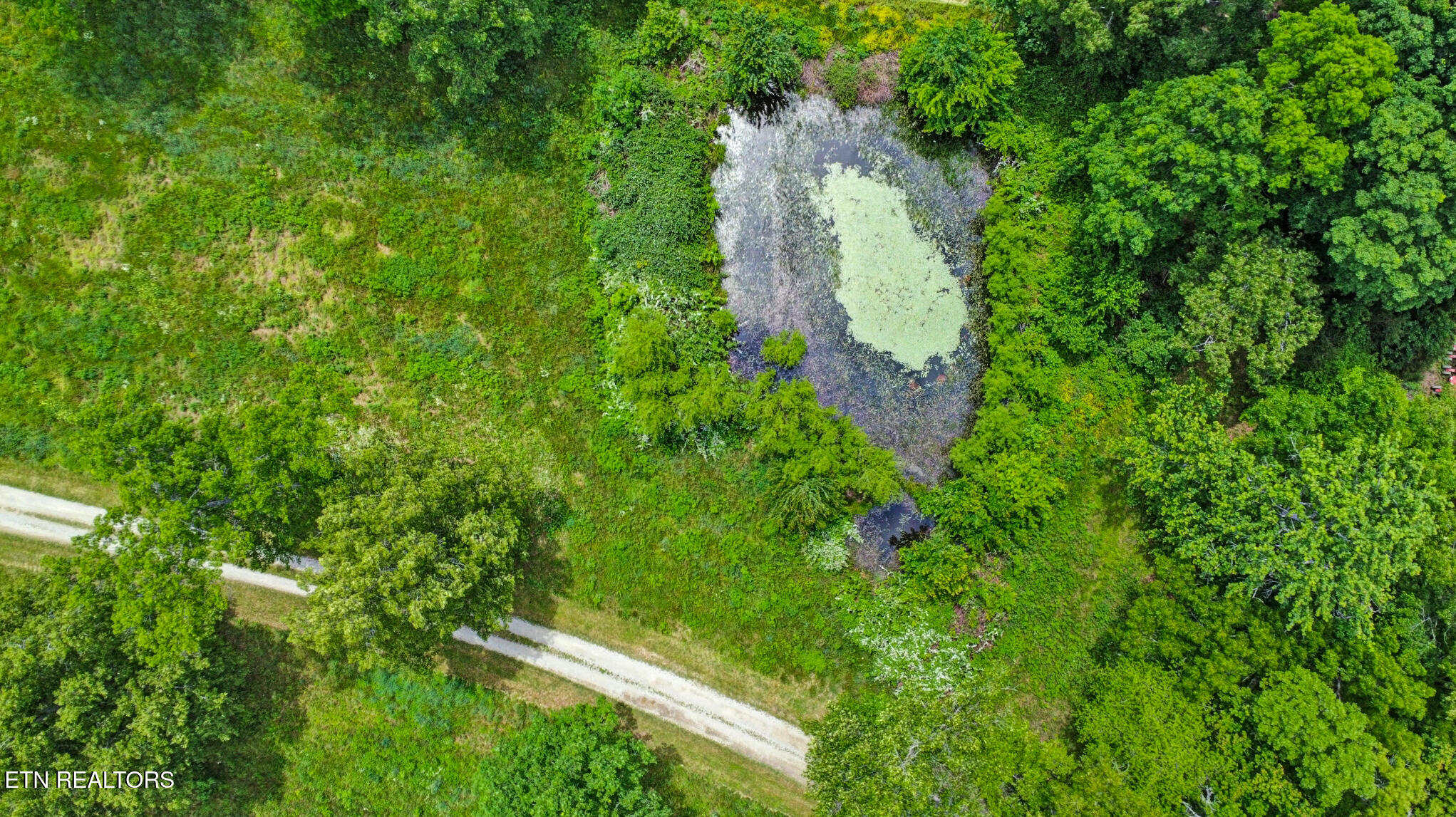 60 Greenview Lane Crossville TN 38571