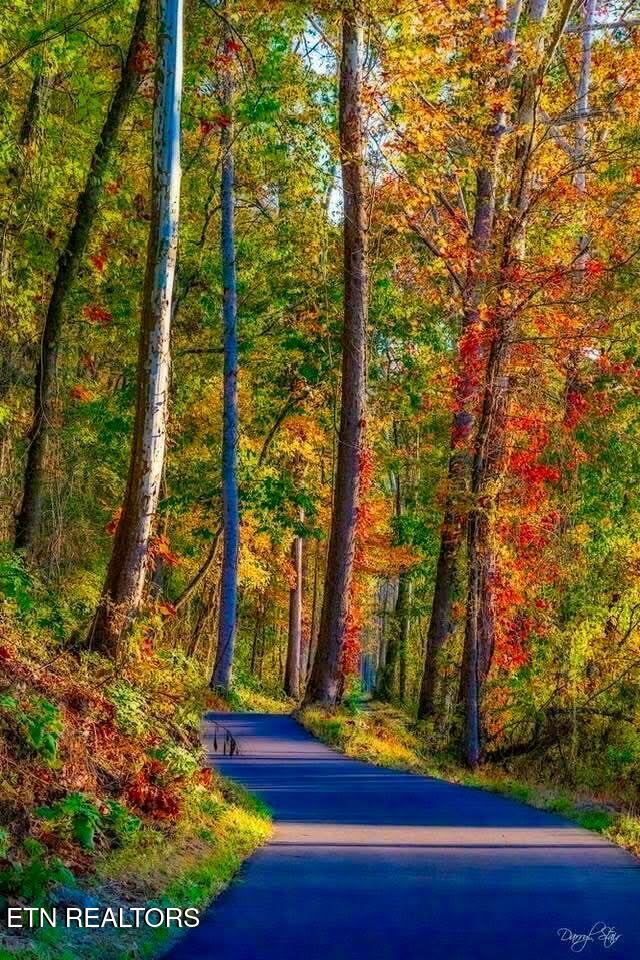 105 Cozy Manor Way Clinton TN 37716