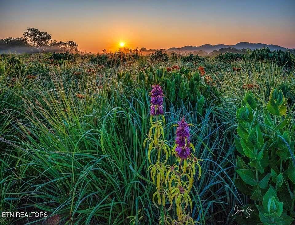 105 Cozy Manor Way Clinton TN 37716