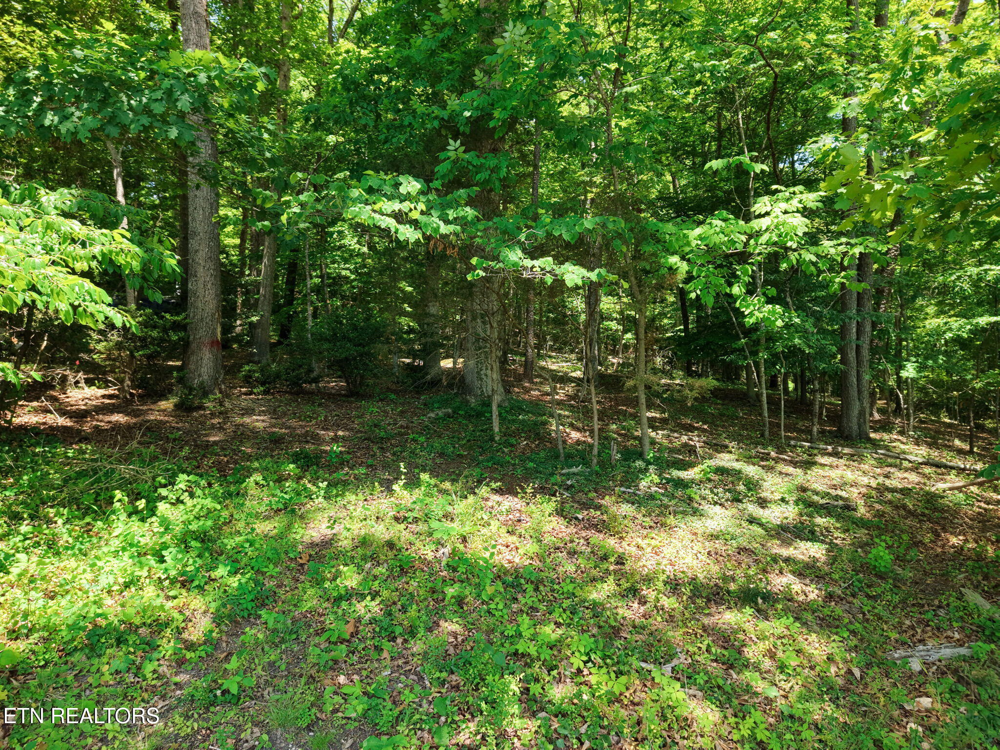110 Disston Road Oak Ridge TN 37830