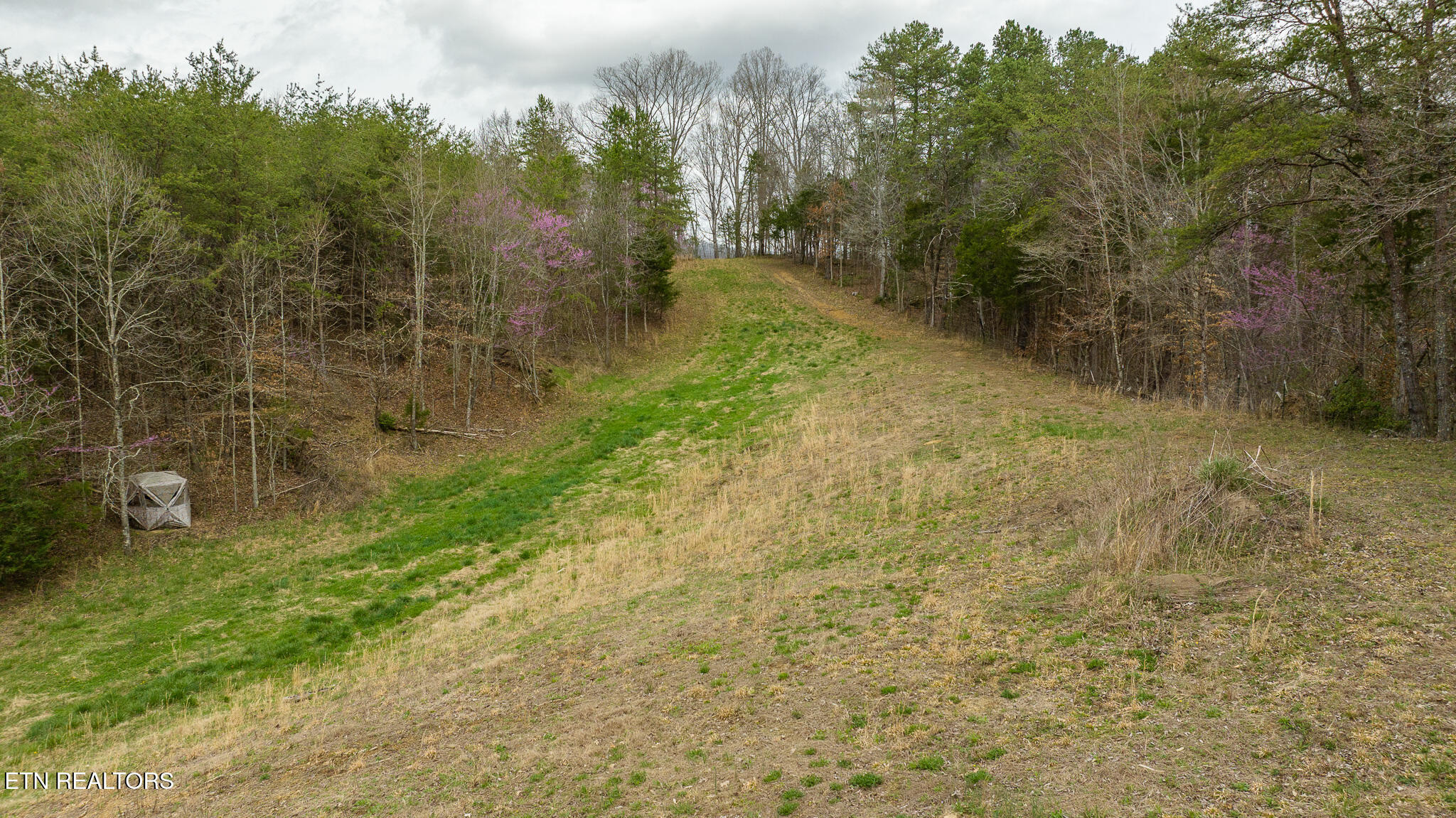8651 Tazewell Highway Sneedville TN 37869