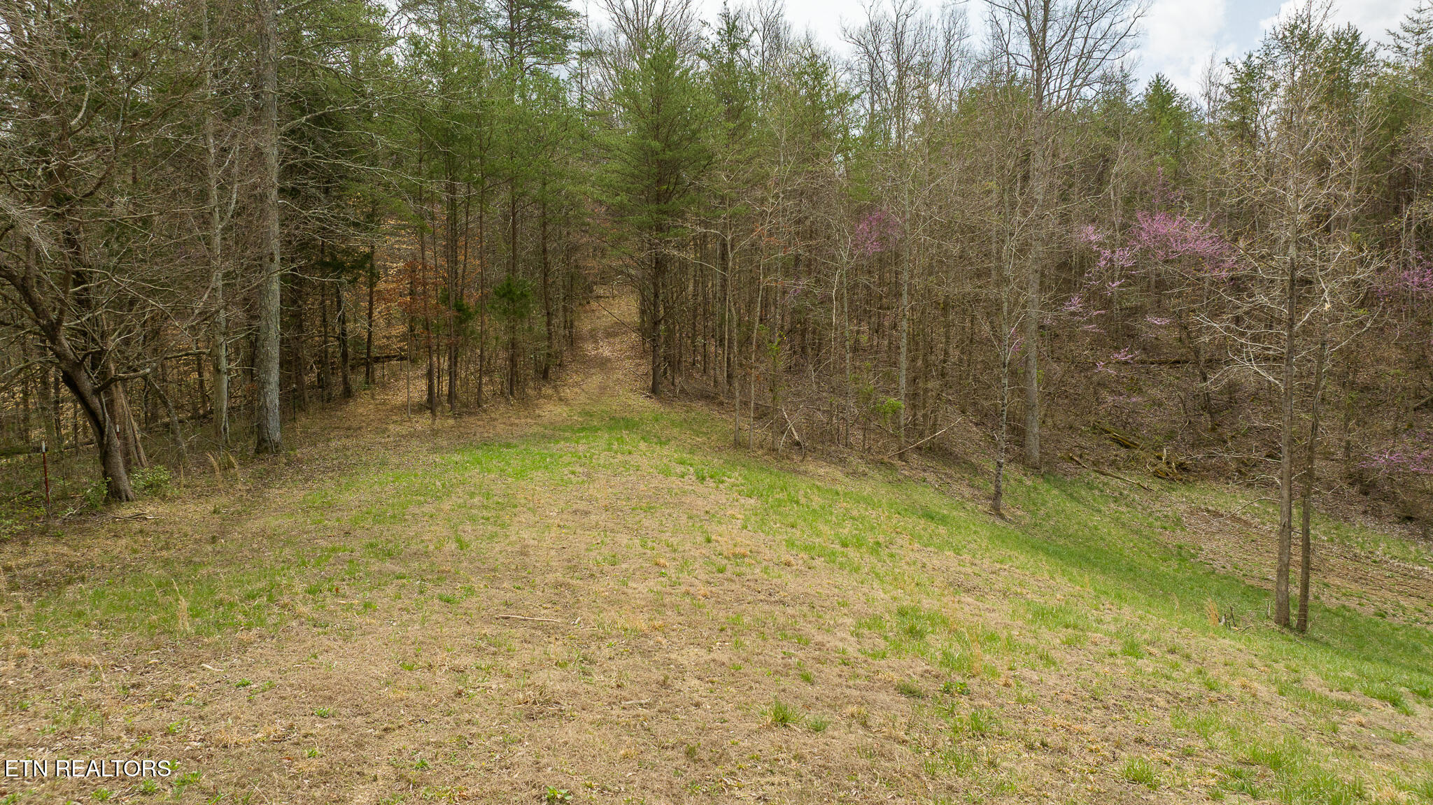 8651 Tazewell Highway Sneedville TN 37869