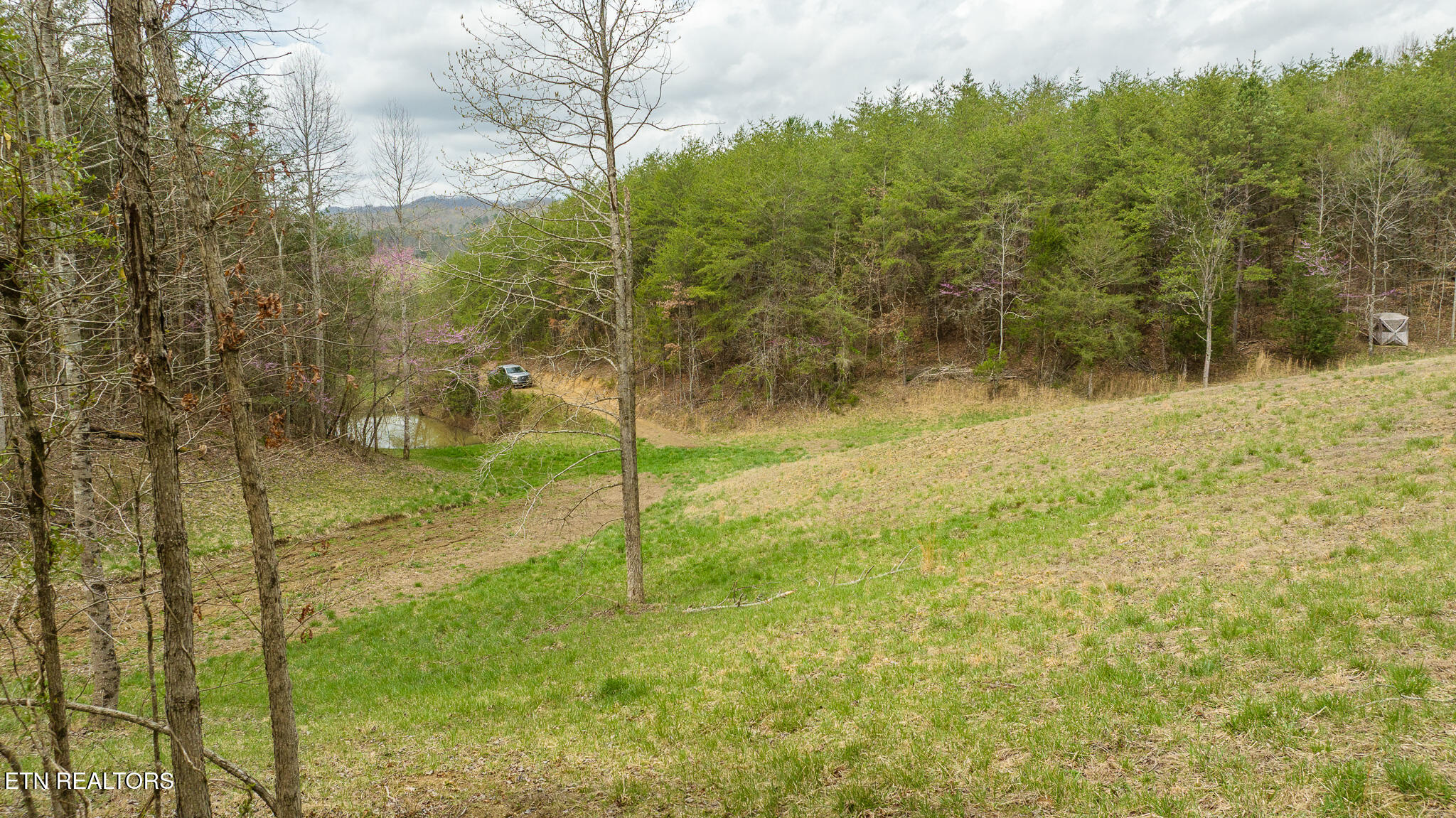 8651 Tazewell Highway Sneedville TN 37869