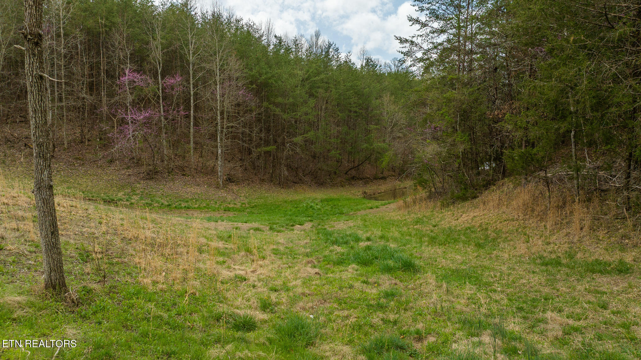 8651 Tazewell Highway Sneedville TN 37869