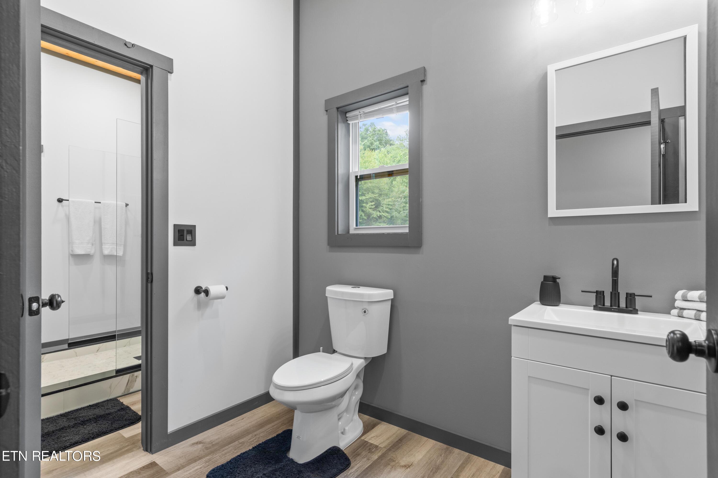1517 Silver Poplar Lane Sevierville TN 37876