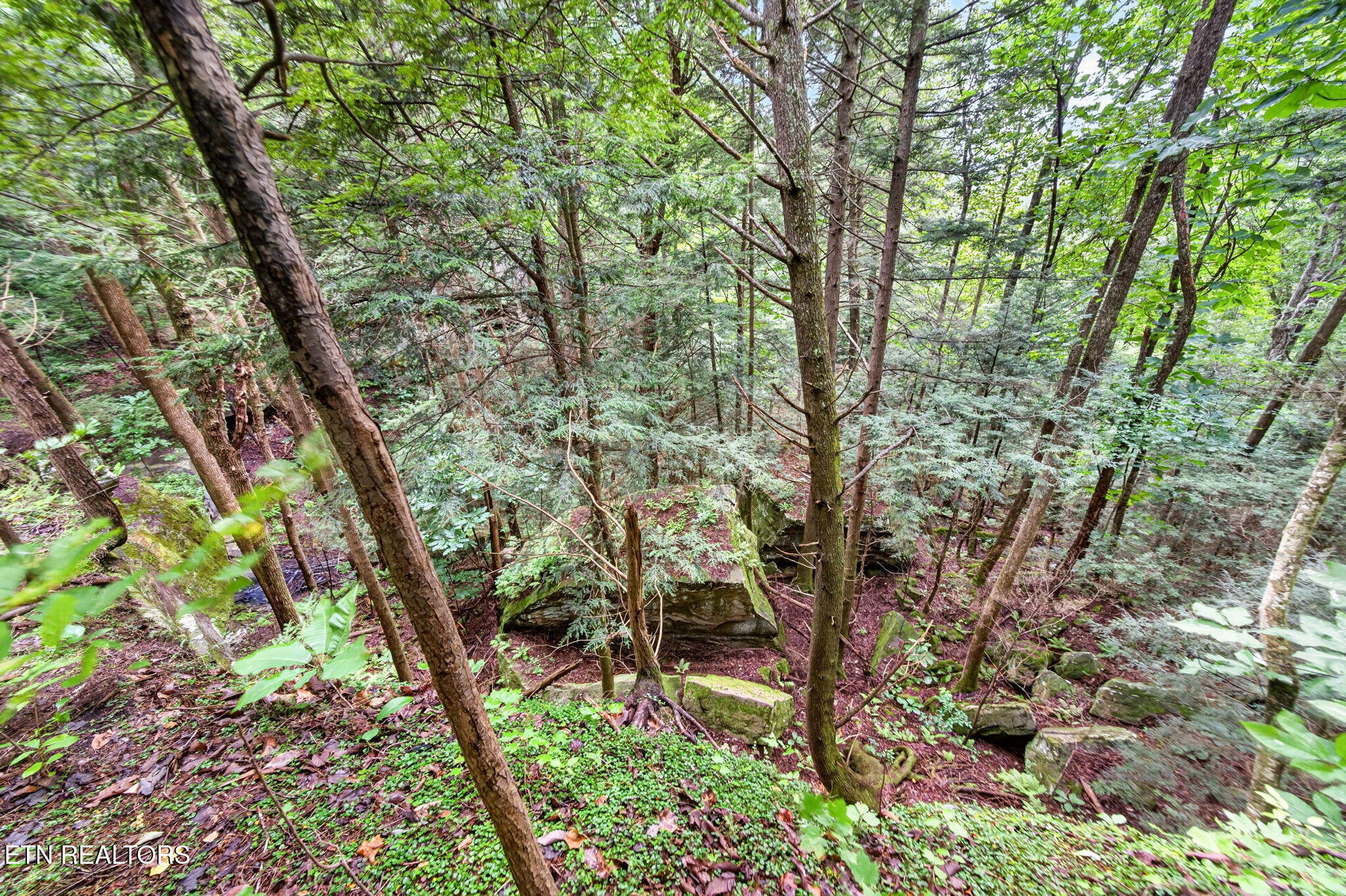 50 Ross Place Monterey TN 38574