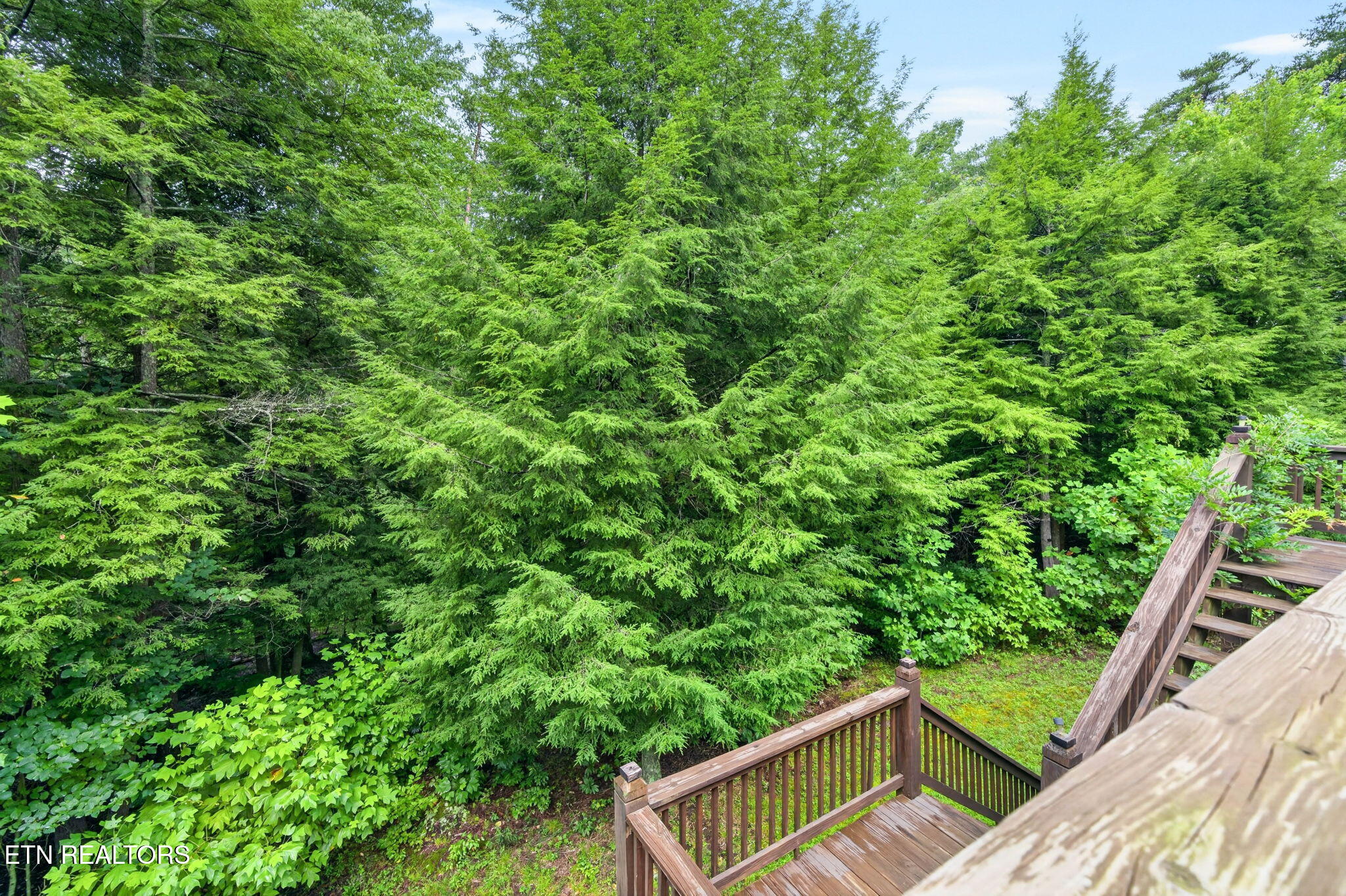50 Ross Place Monterey TN 38574