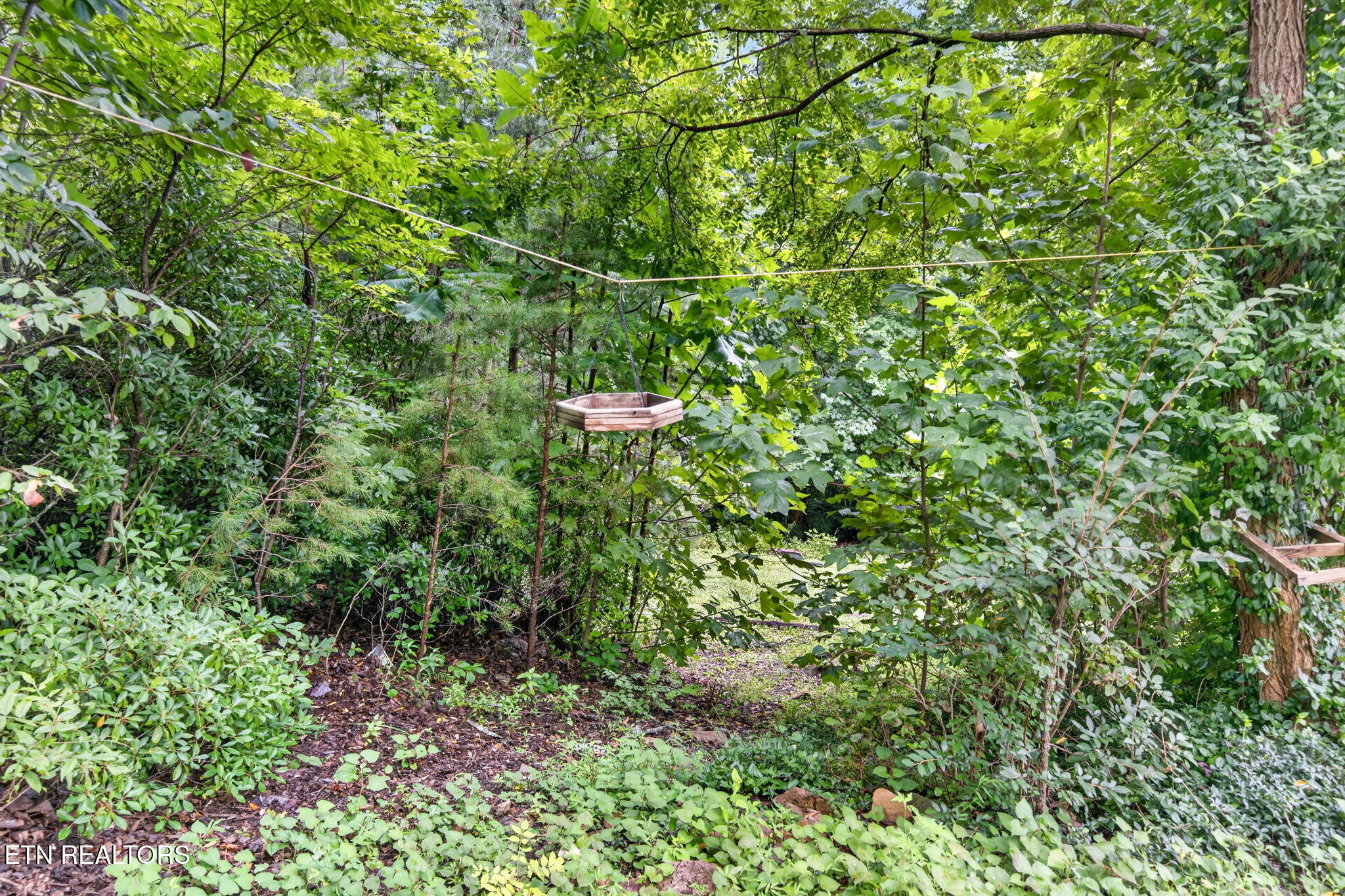 50 Ross Place Monterey TN 38574