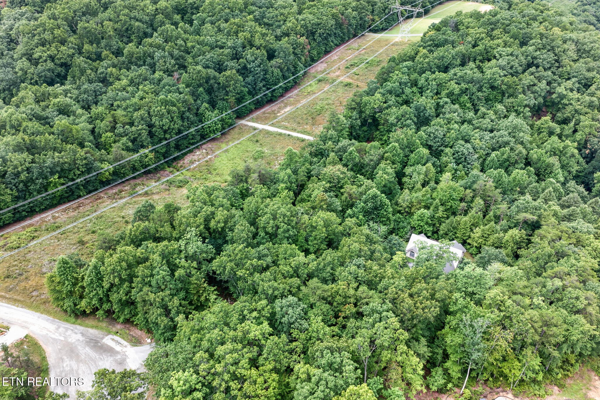 50 Ross Place Monterey TN 38574