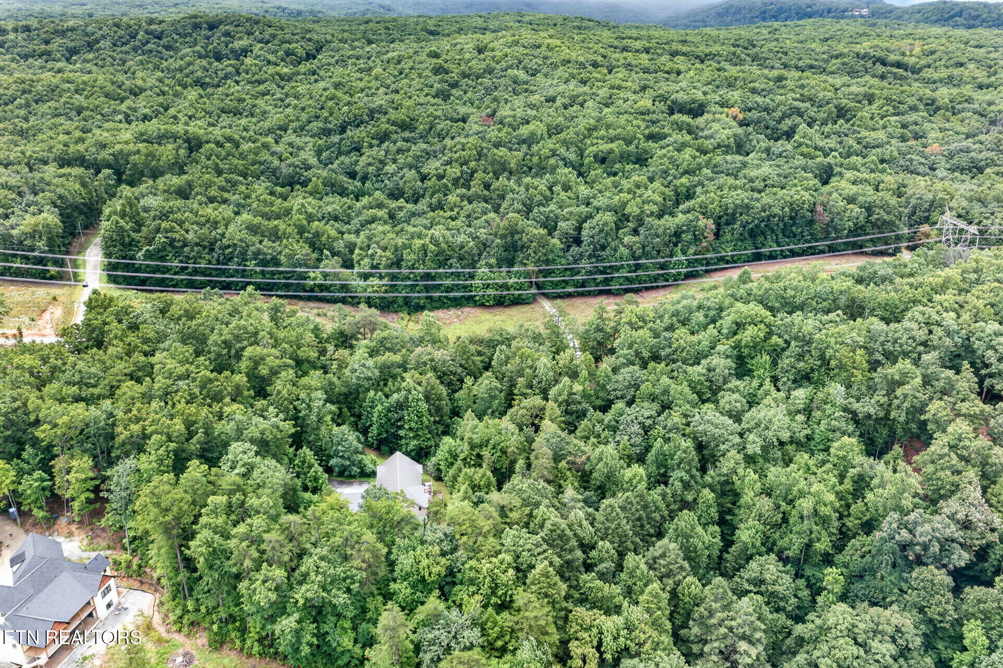 50 Ross Place Monterey TN 38574