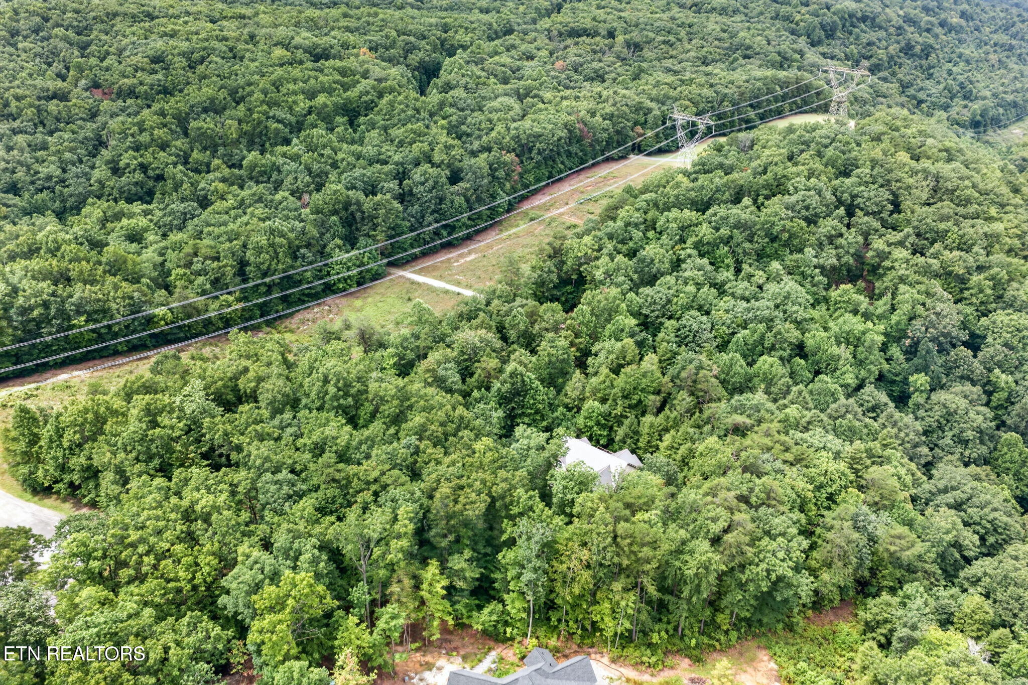 50 Ross Place Monterey TN 38574