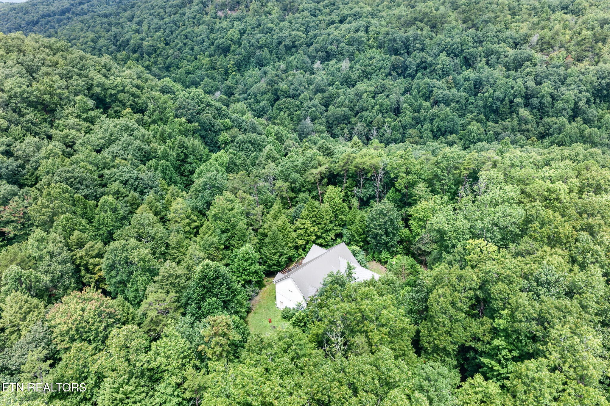 50 Ross Place Monterey TN 38574