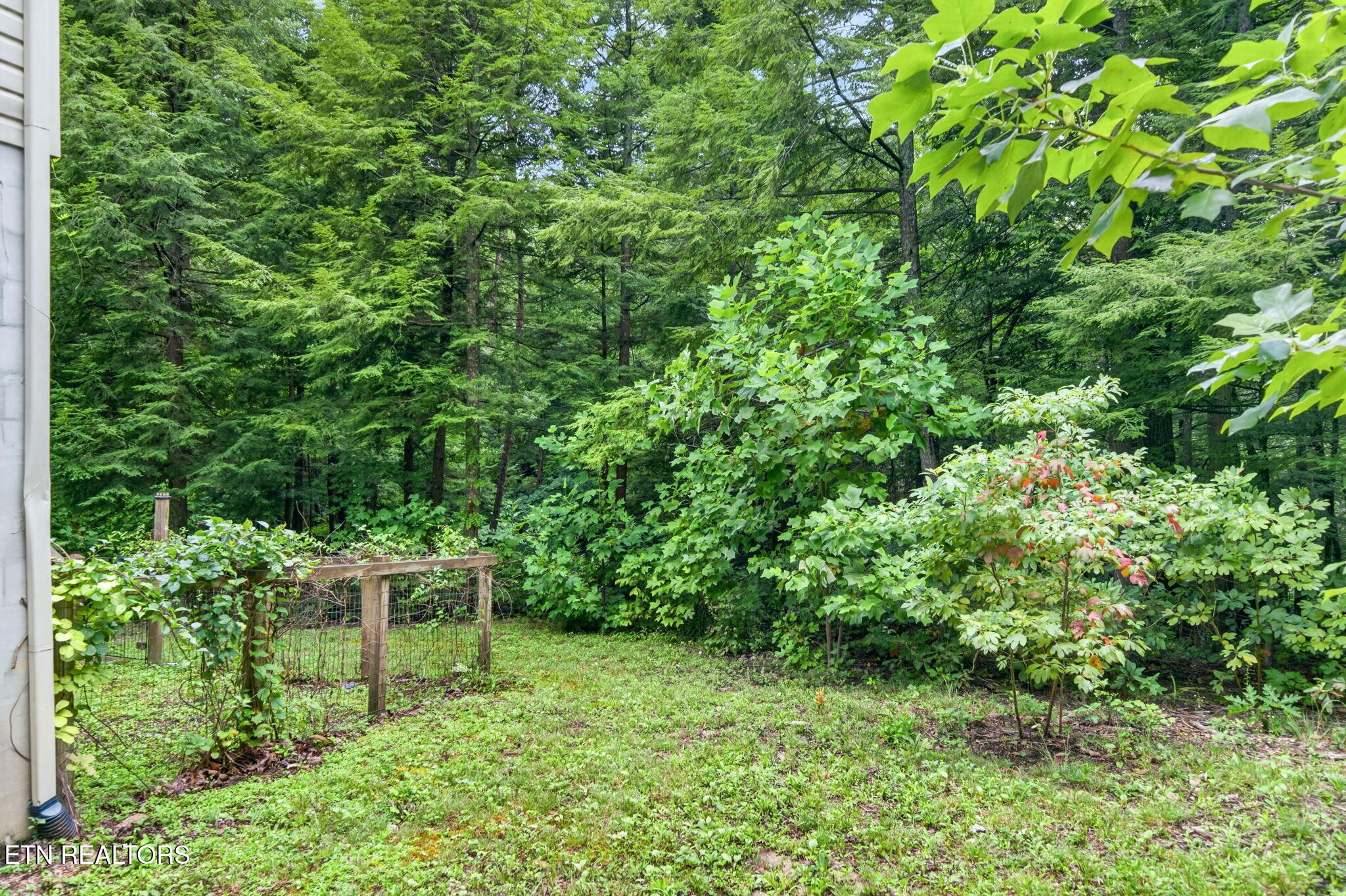 50 Ross Place Monterey TN 38574