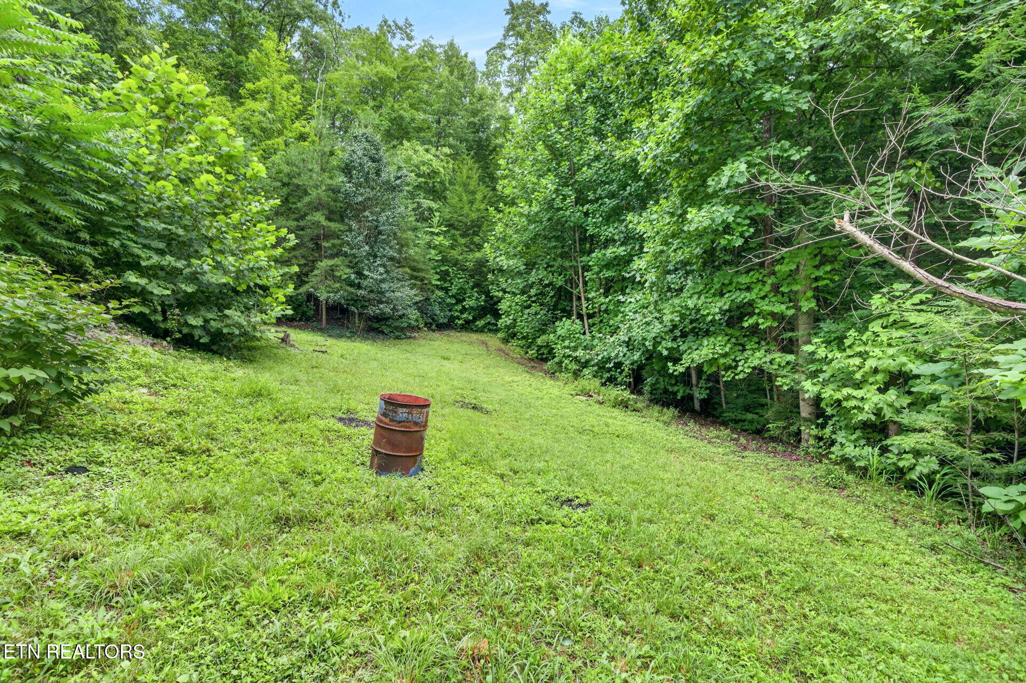 50 Ross Place Monterey TN 38574