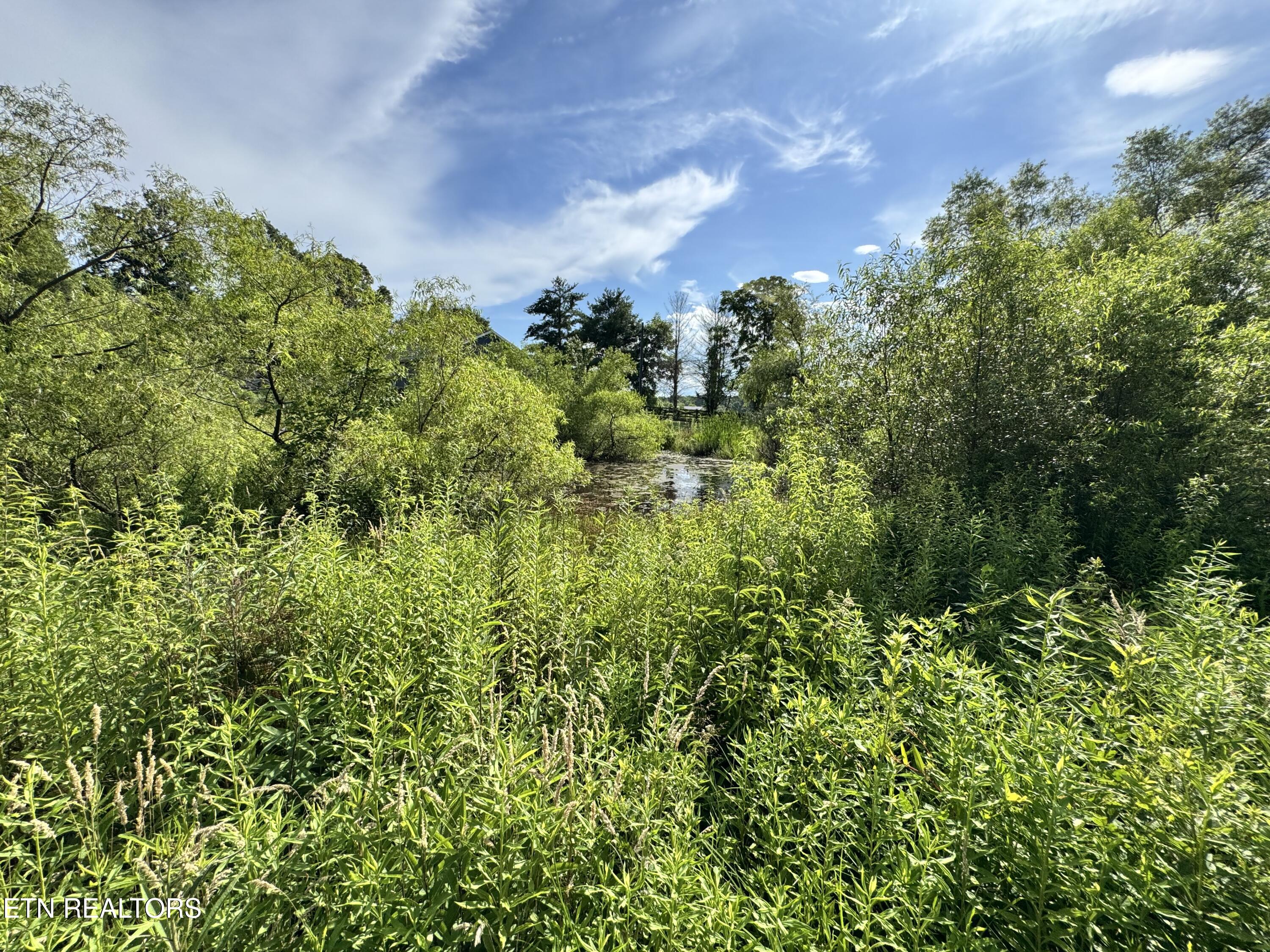 1353 Roy Owens Road Jamestown TN 38556