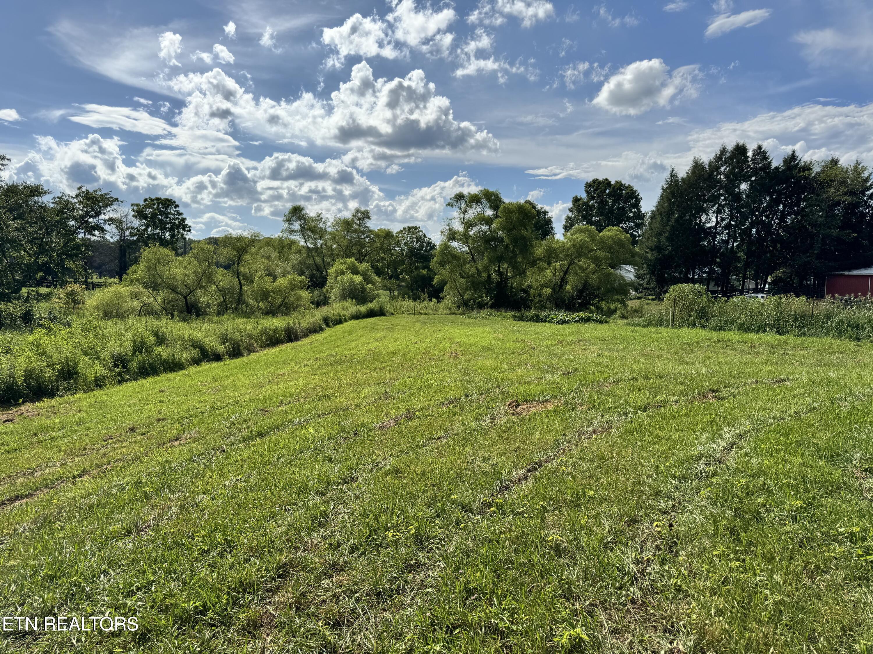1353 Roy Owens Road Jamestown TN 38556