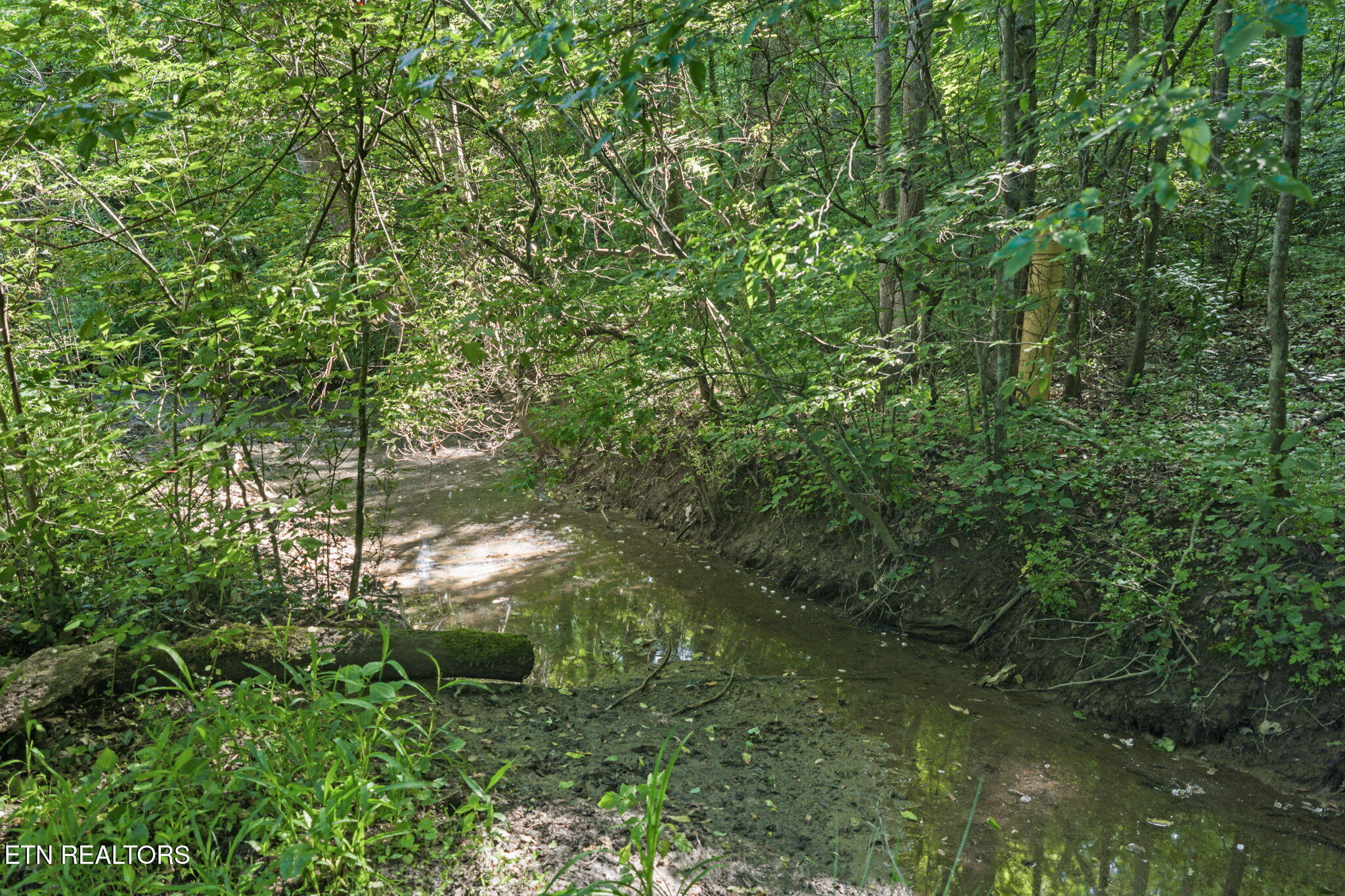 369 Back Valley Road Oliver Springs TN 37840