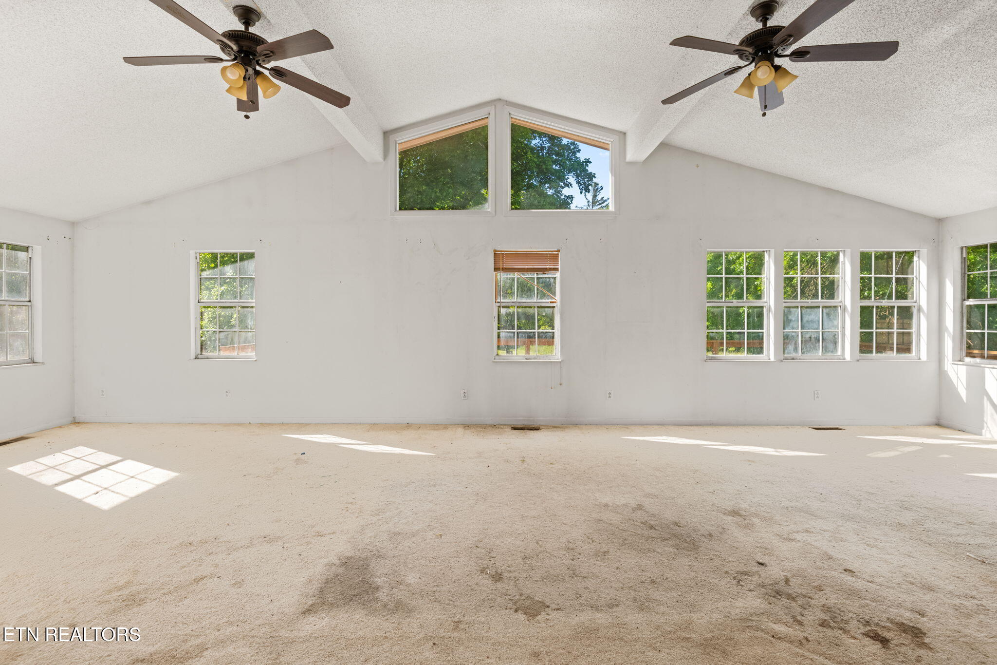 369 Back Valley Road Oliver Springs TN 37840