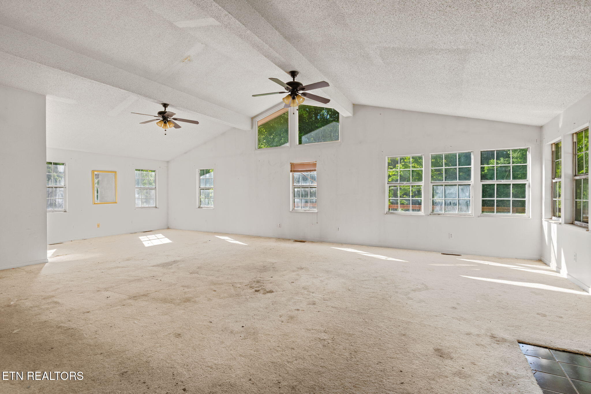 369 Back Valley Road Oliver Springs TN 37840