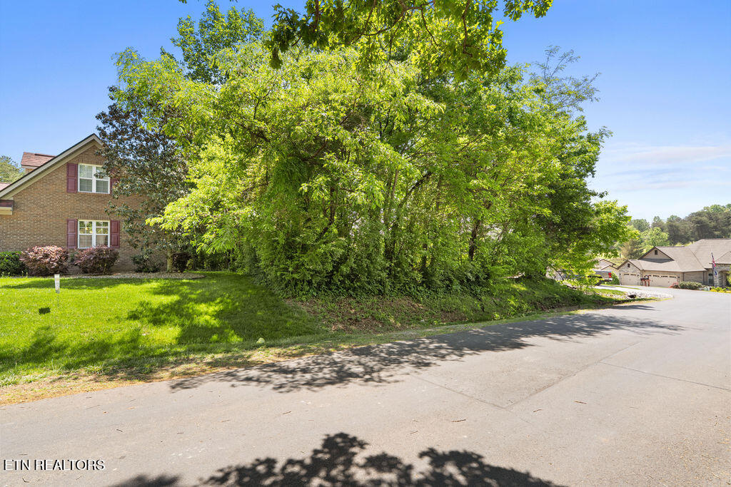 145 Daleyuhski Way Loudon TN 37774