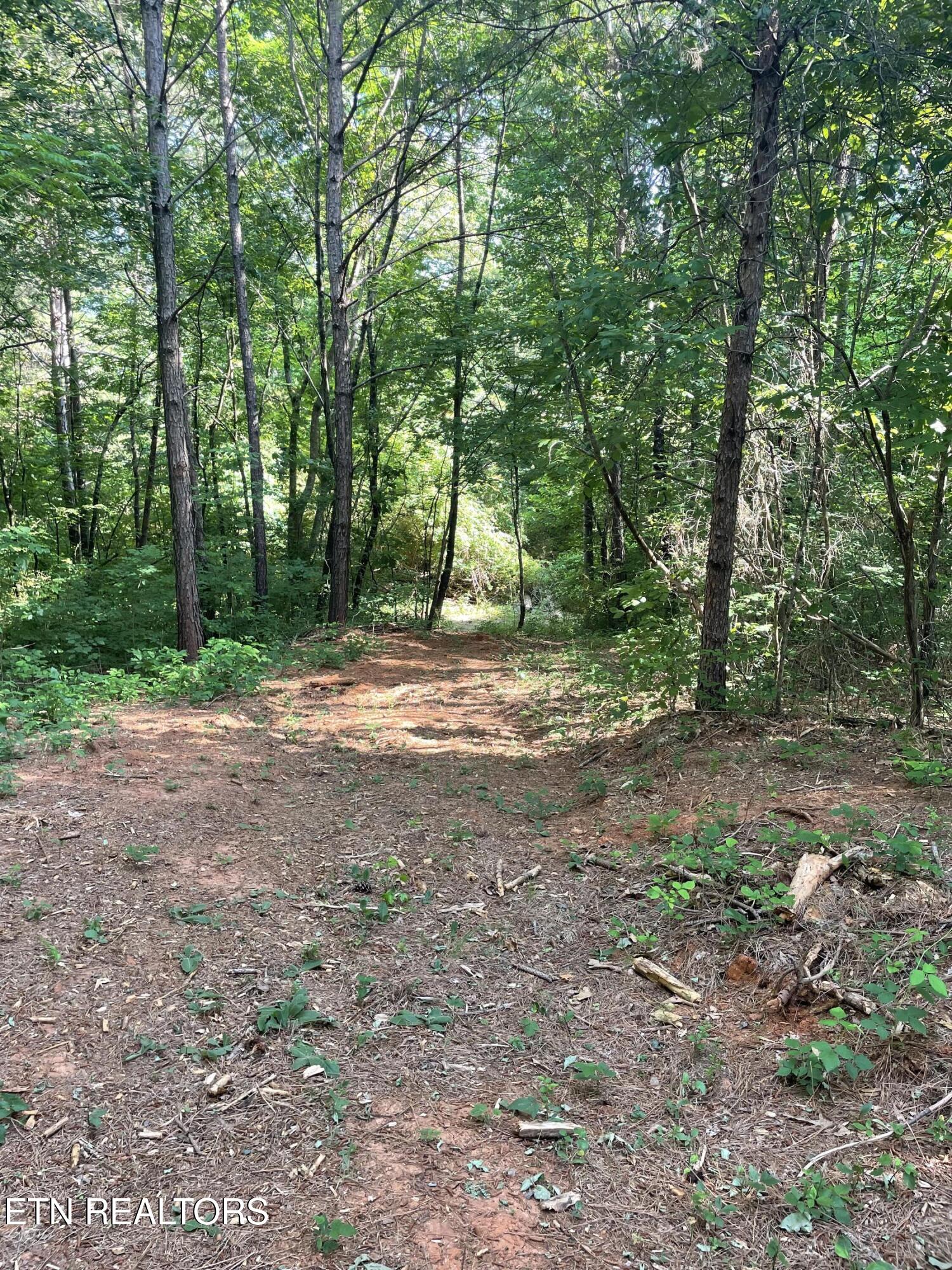 177 Lifestyle Way Benton TN 37307
