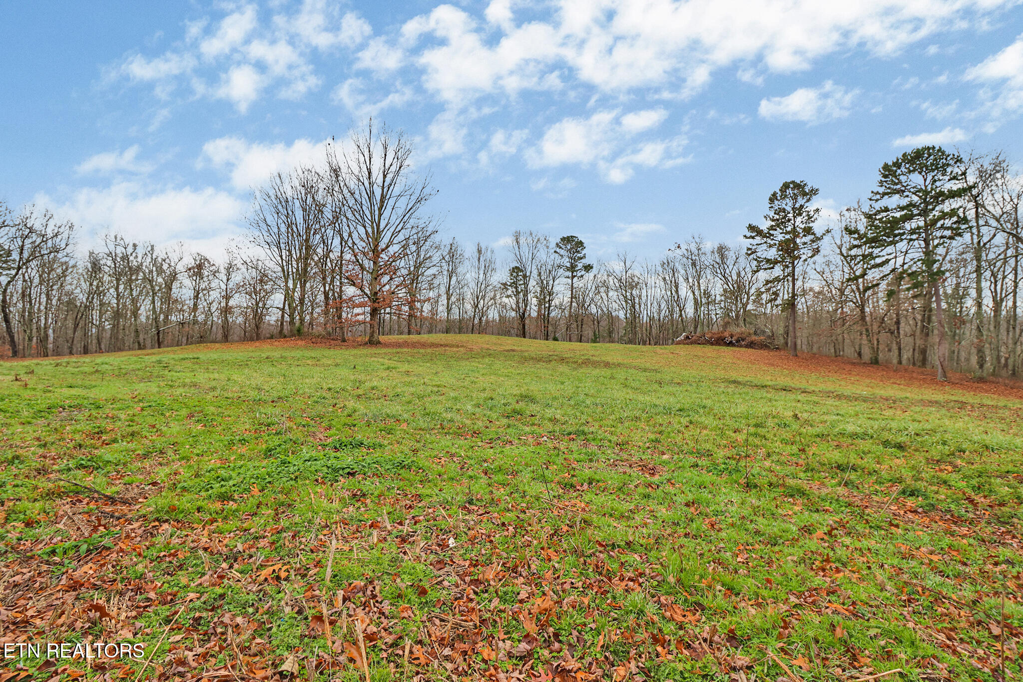 1903 Hanging Limb Highway Crawford TN 38554