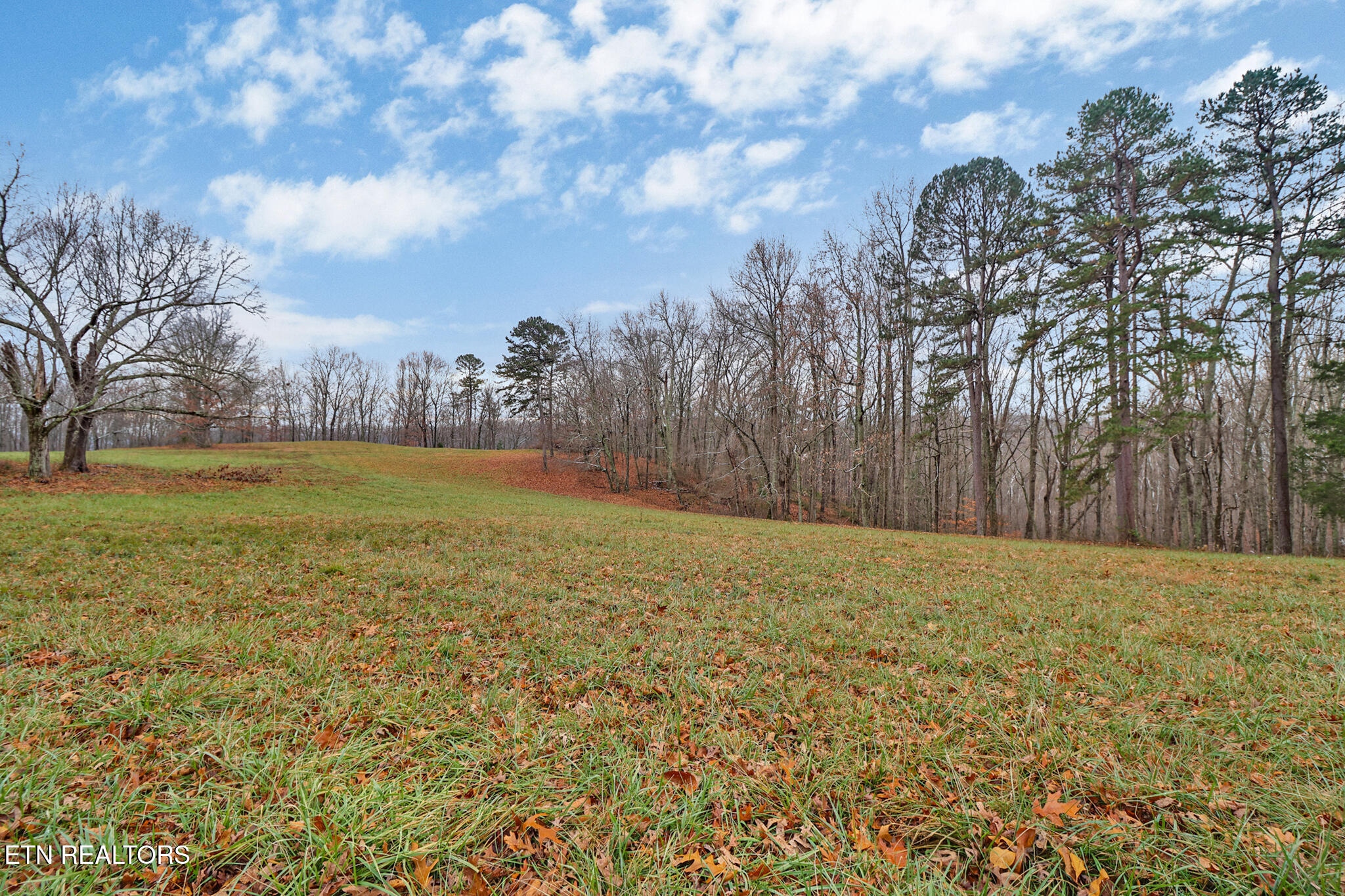 1903 Hanging Limb Highway Crawford TN 38554