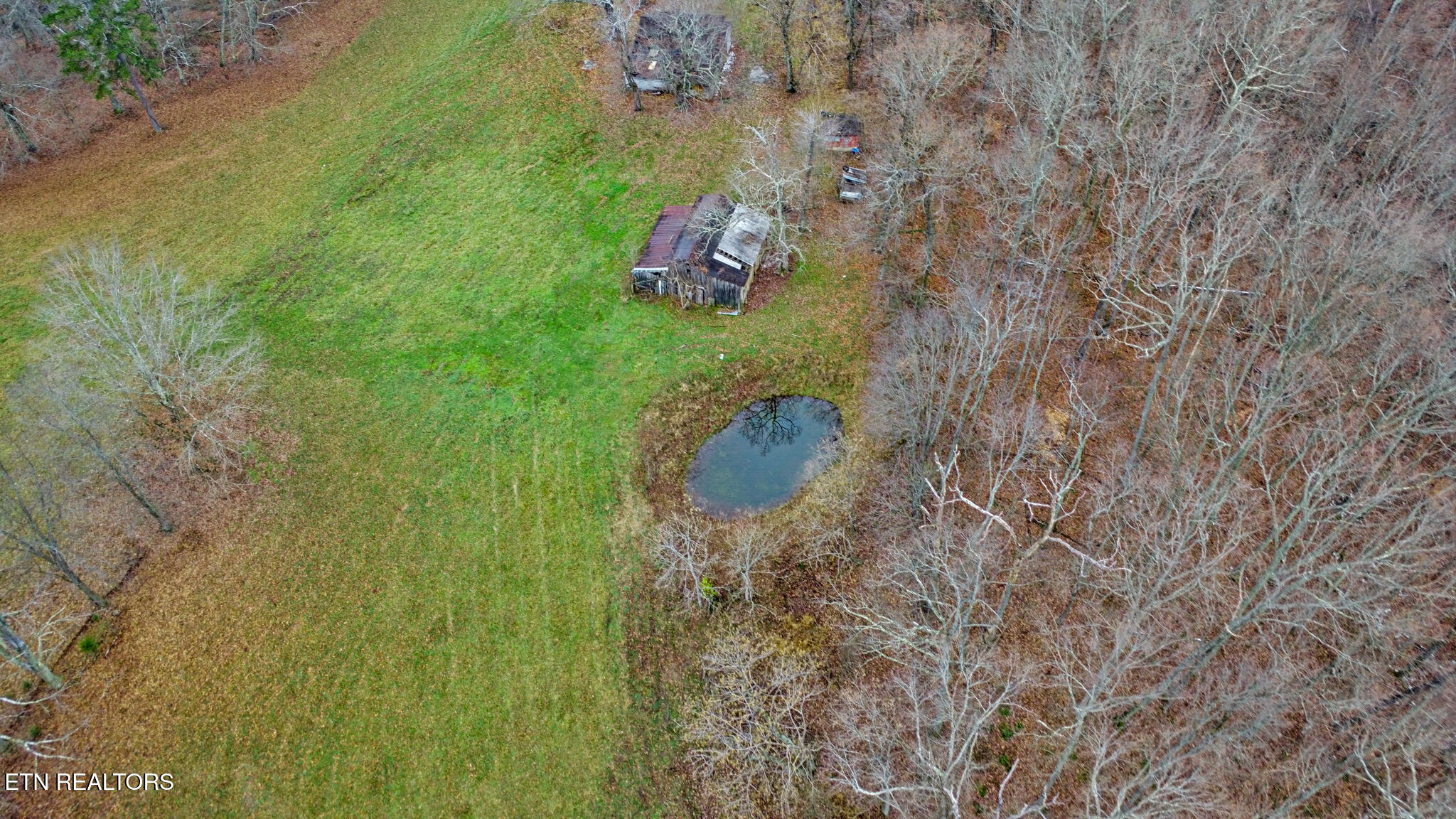 1903 Hanging Limb Highway Crawford TN 38554