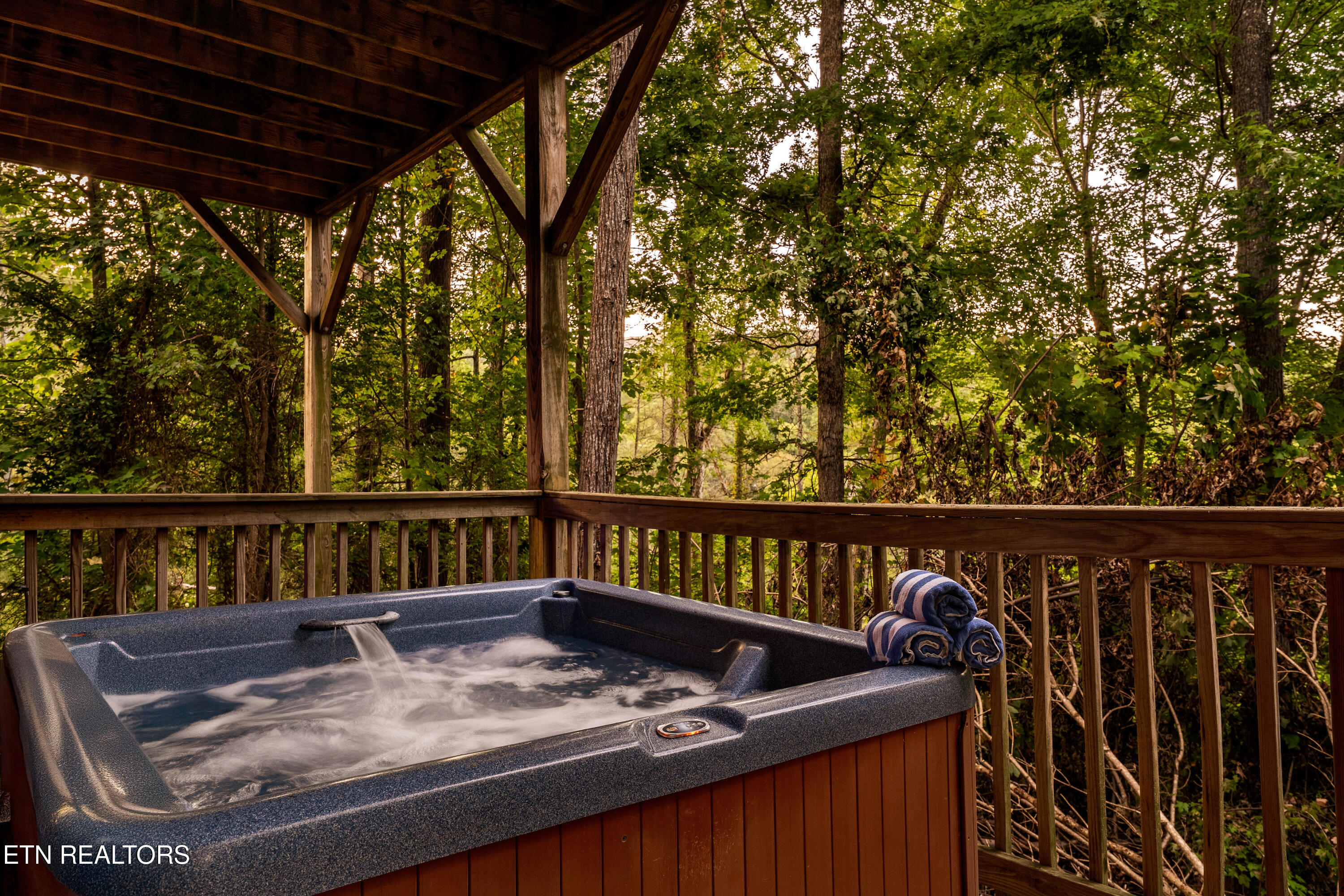 2615 Bear Crossing Way Sevierville TN 37862