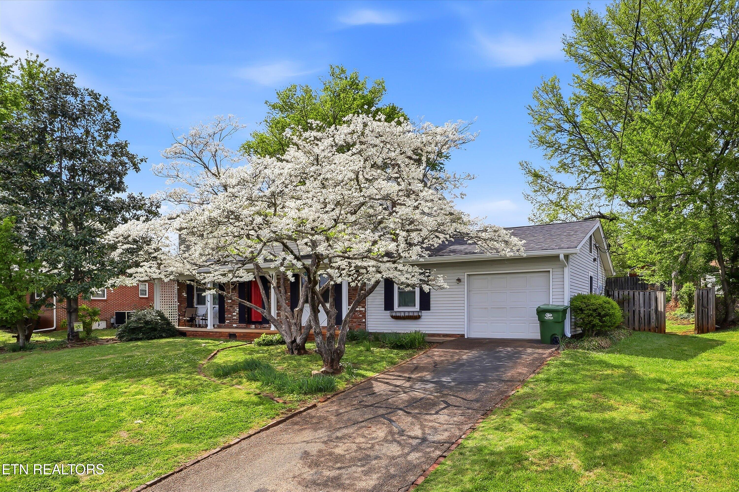 911 Willow Drive Maryville TN 37803