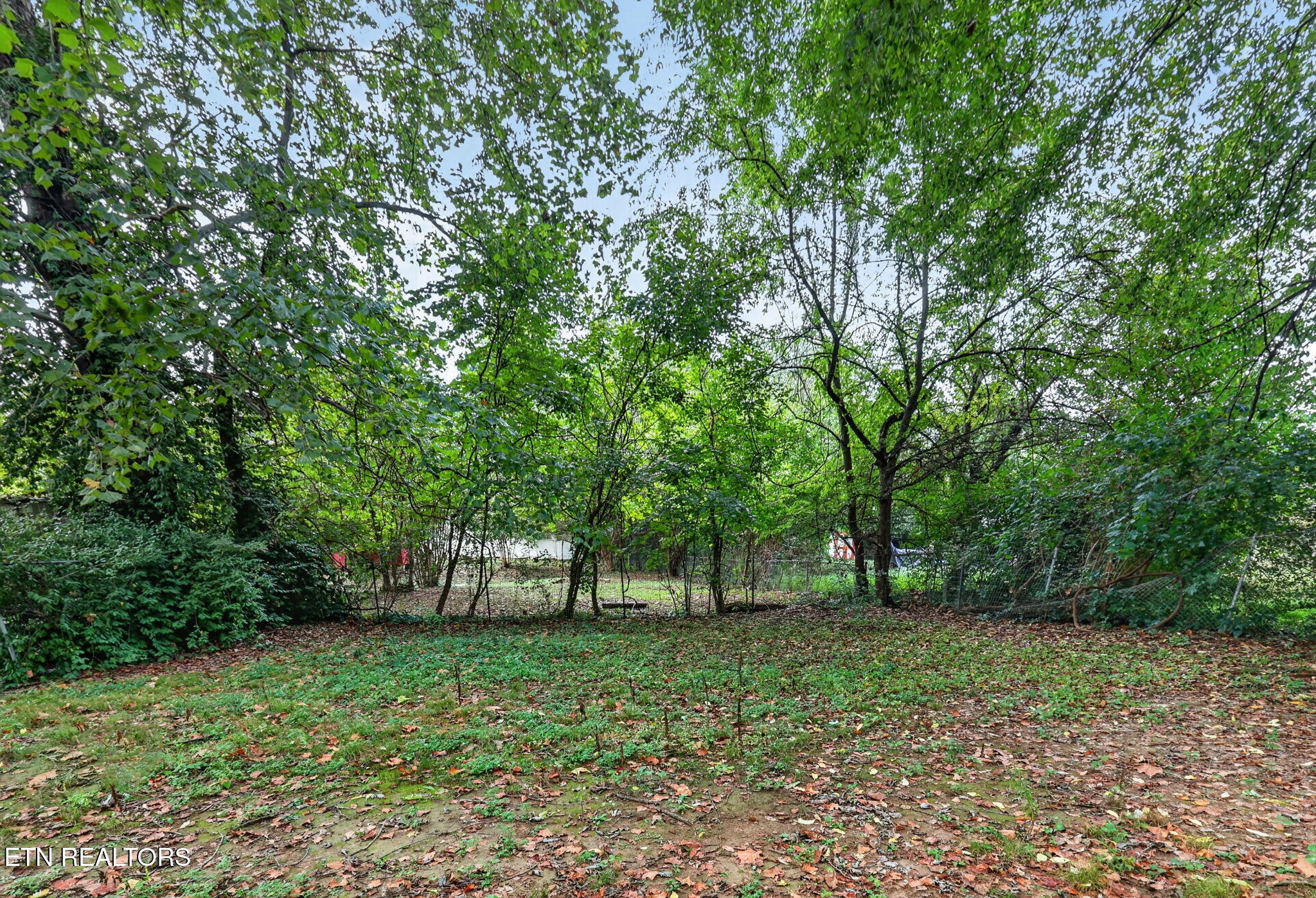 4305 Thornwood Drive Knoxville TN 37921