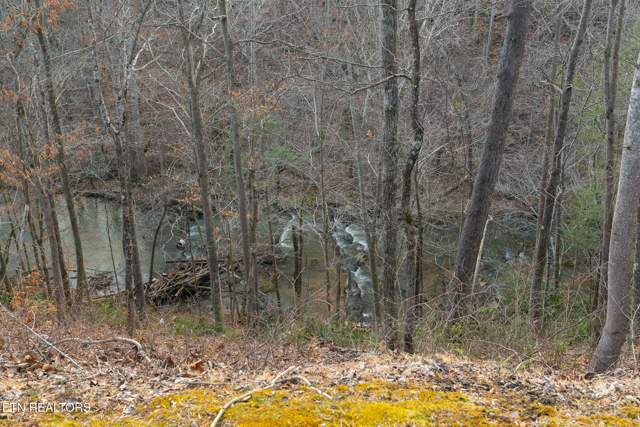 3318 Covered Bridge Way Sevierville TN 37862
