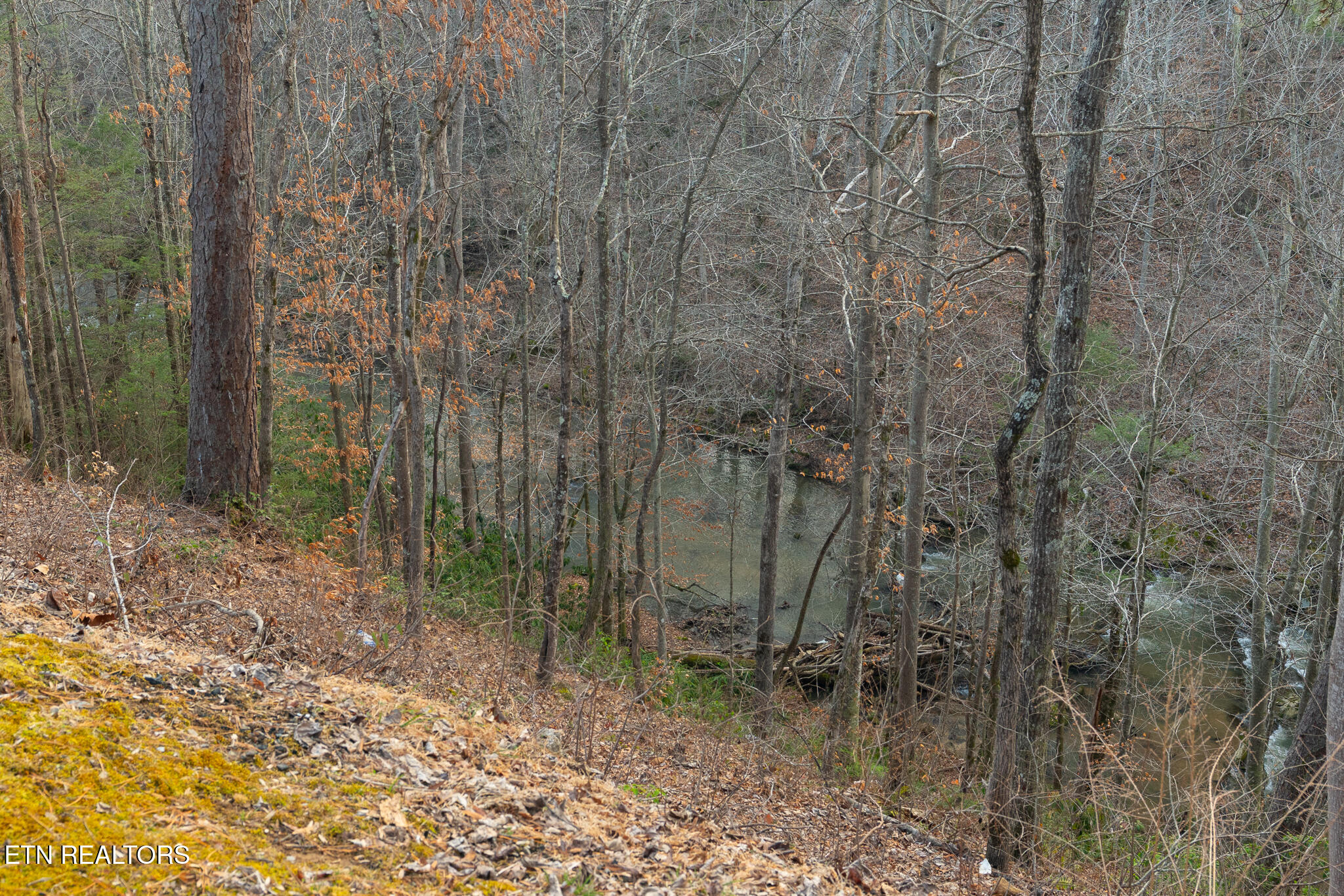 3318 Covered Bridge Way Sevierville TN 37862