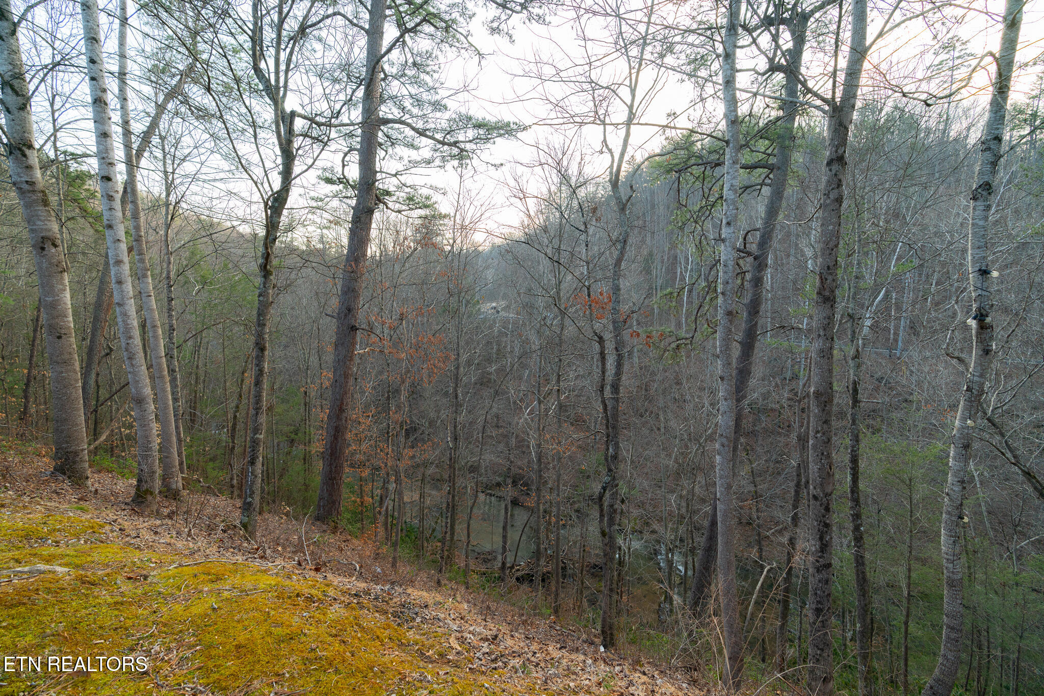 3318 Covered Bridge Way Sevierville TN 37862