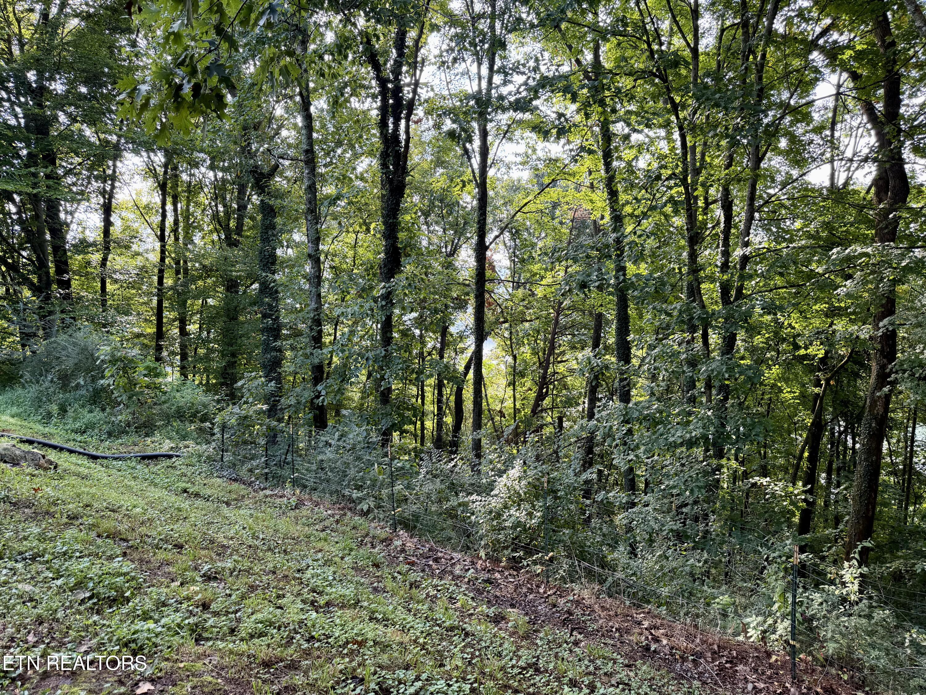 167 Hudson Lane Clinton TN 37716