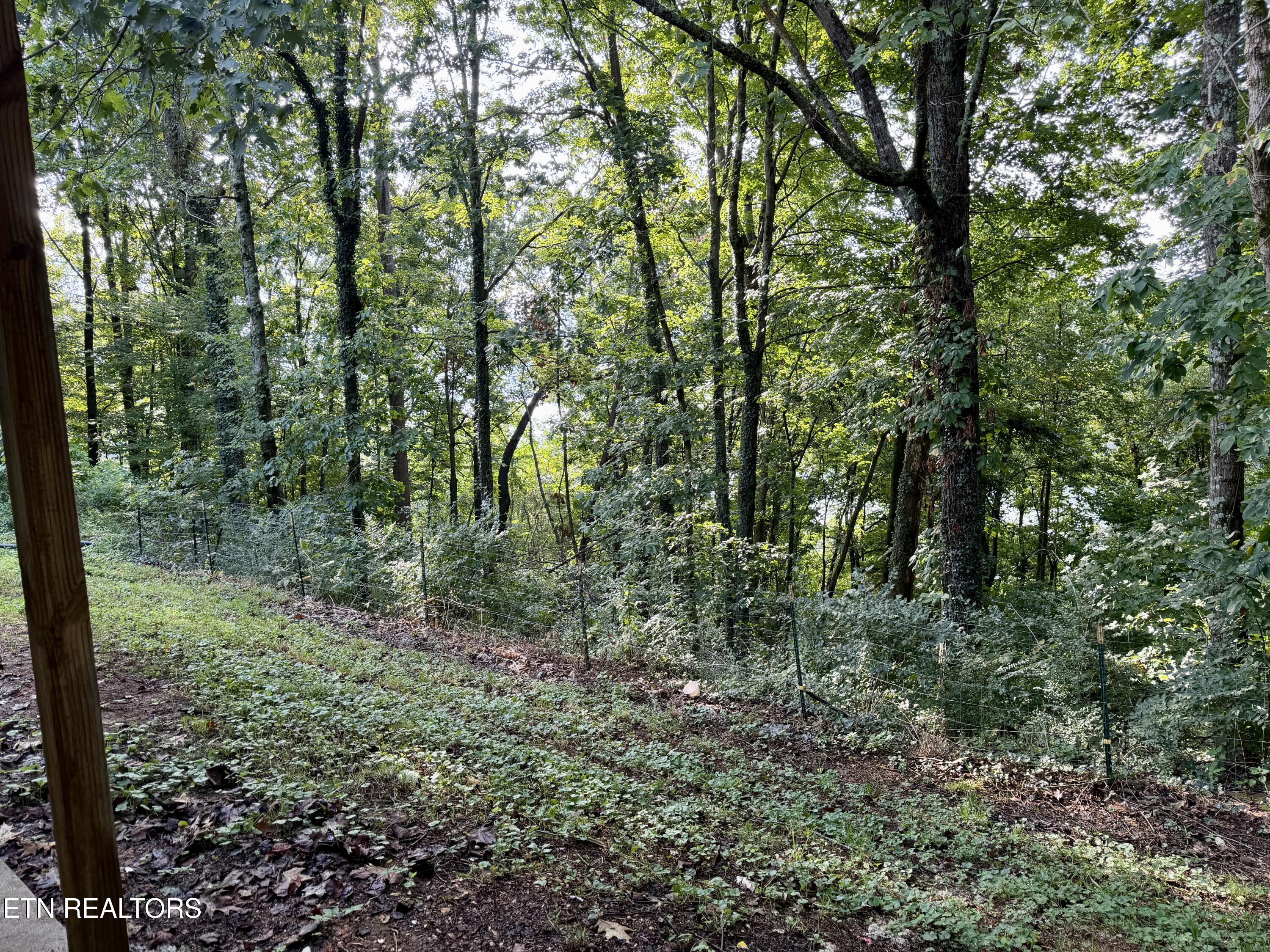 167 Hudson Lane Clinton TN 37716
