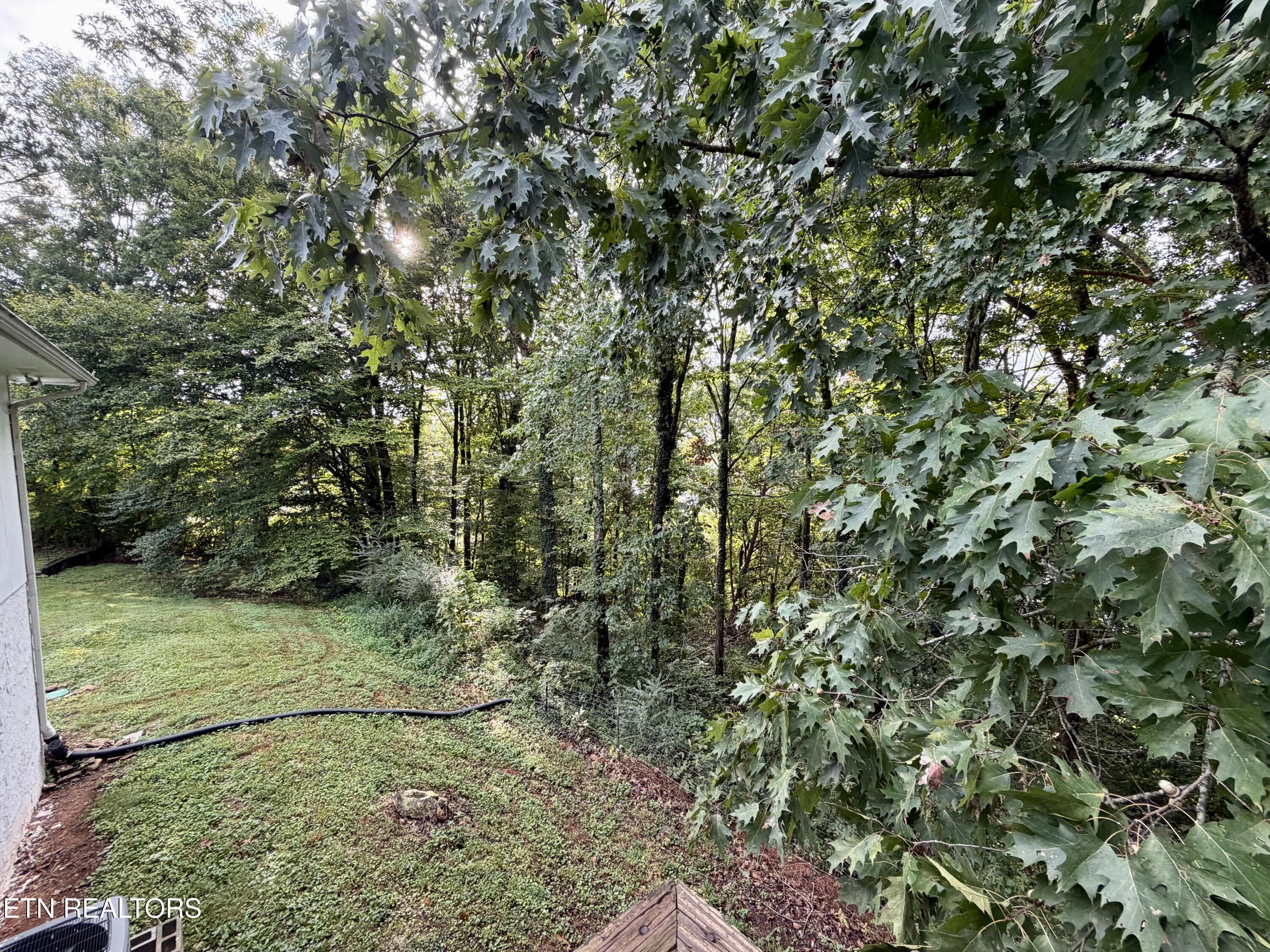 167 Hudson Lane Clinton TN 37716