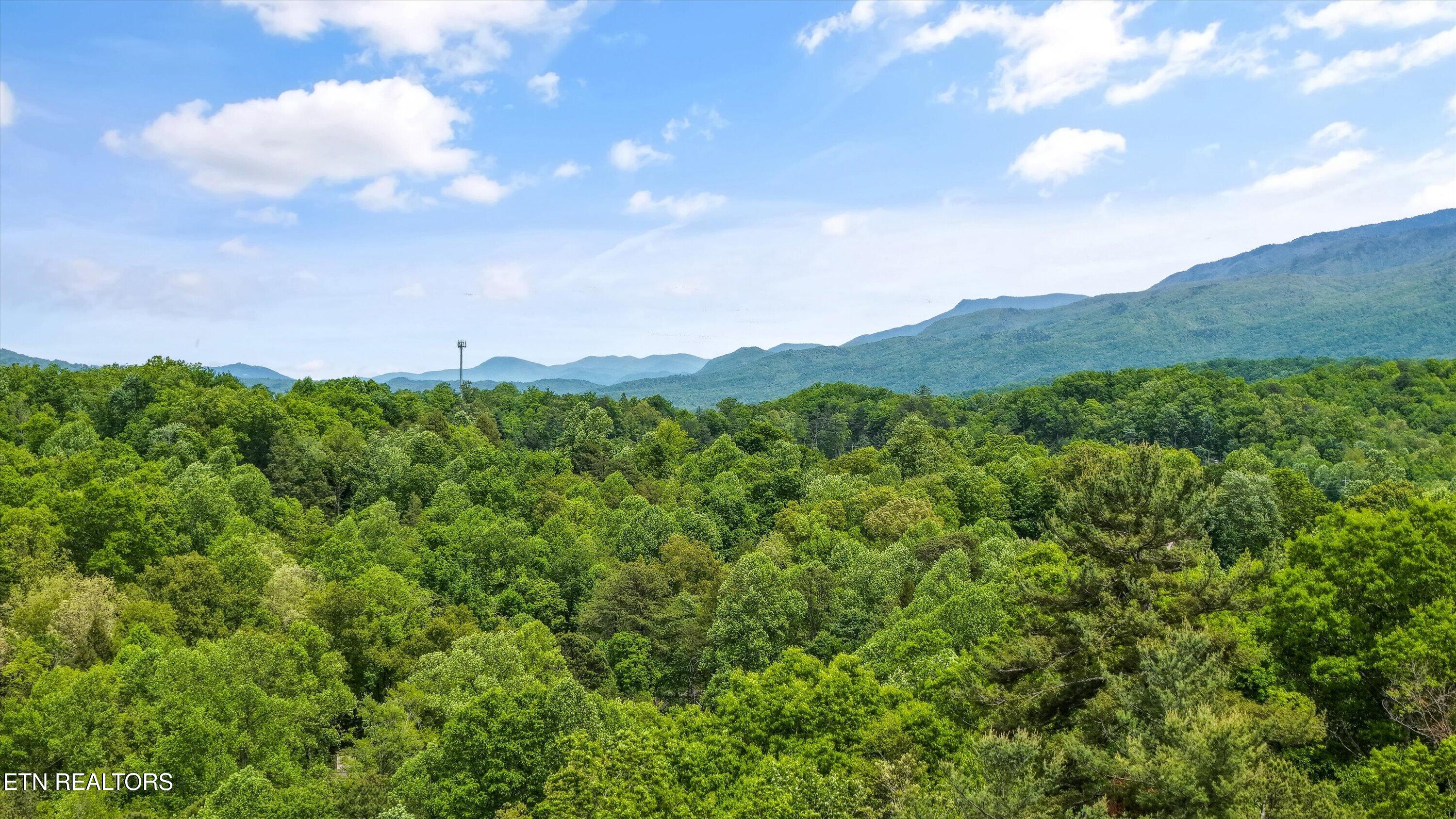 1622 Misty Hollow Way Gatlinburg TN 37738
